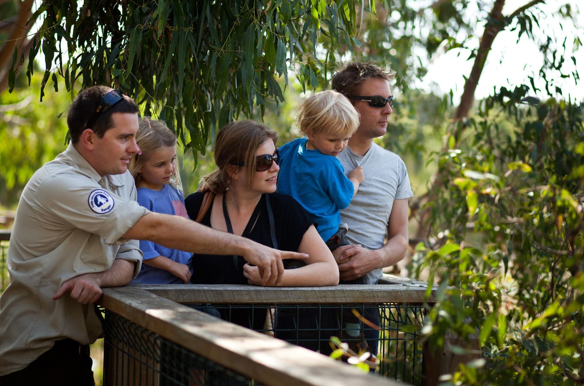 Phillip Island Nature Parks - Koala Conservation Reserve Ticket - image 4