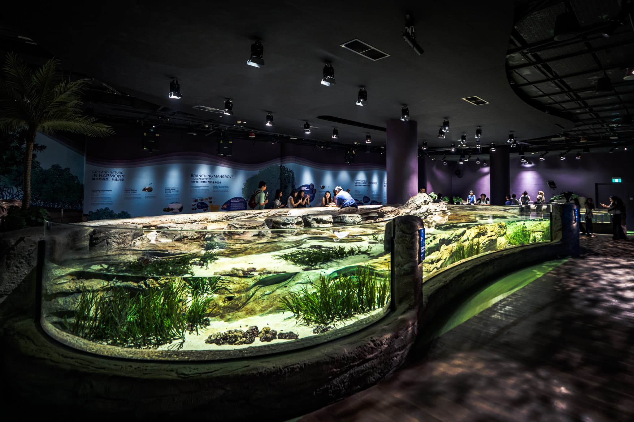 Singapore Oceanarium Ticket - image 15
