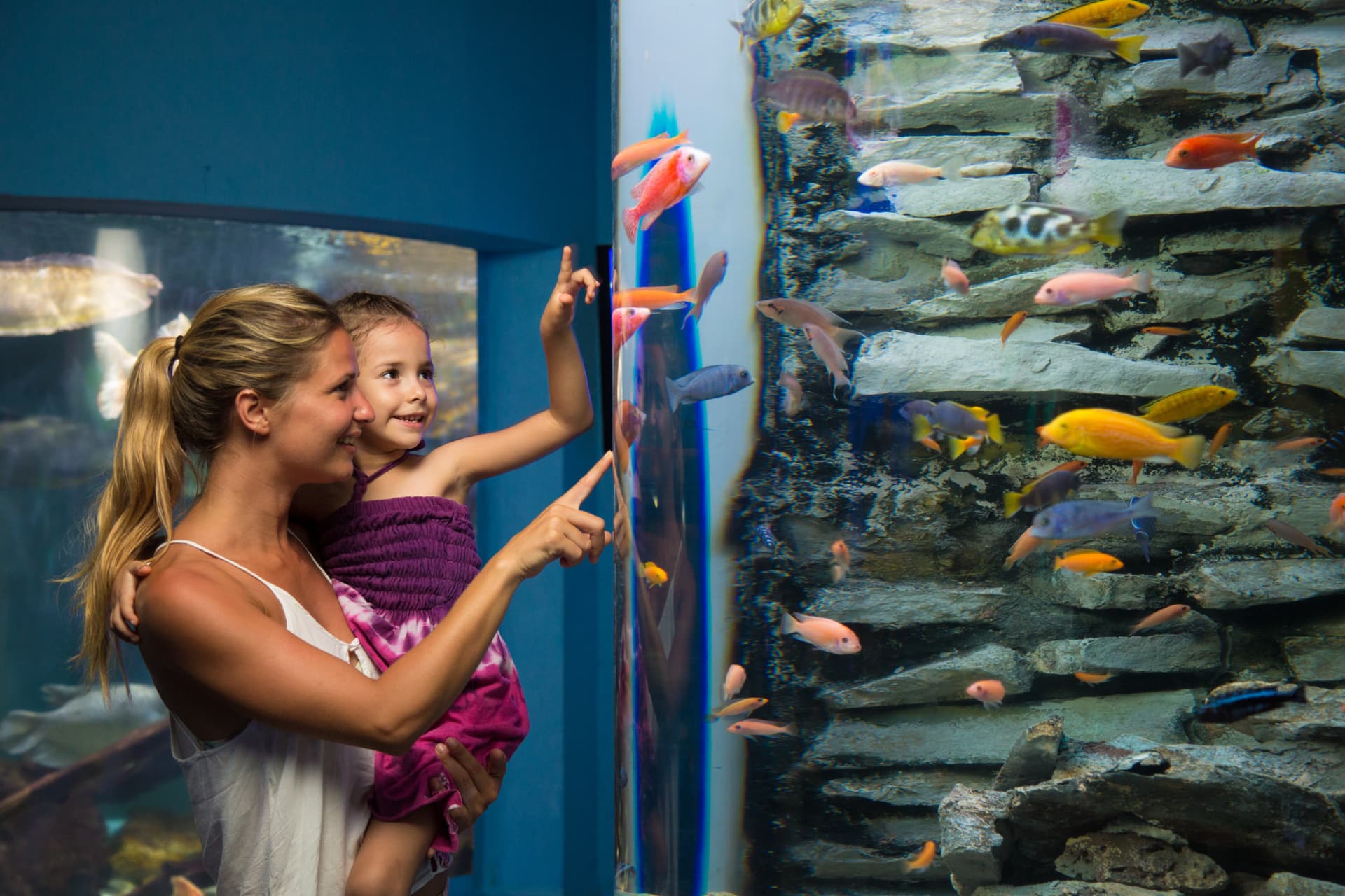 Go City Cancun Essentials Pass: 3 Attractions - image 16