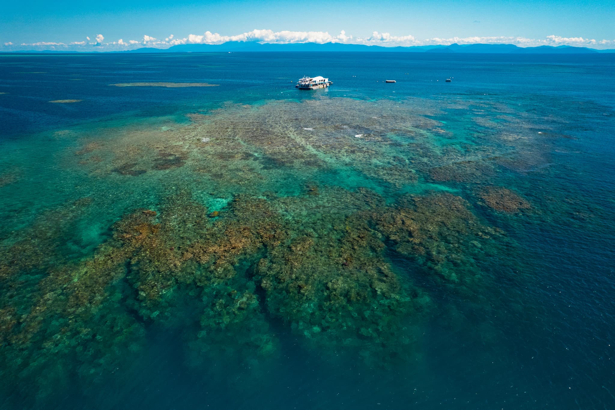 Reef Magic Pontoon Tour from Cairns - image 8