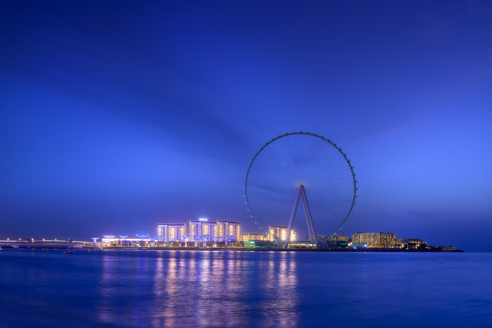 COMBO: Ain Dubai + The Green Planet Tickets - image 4