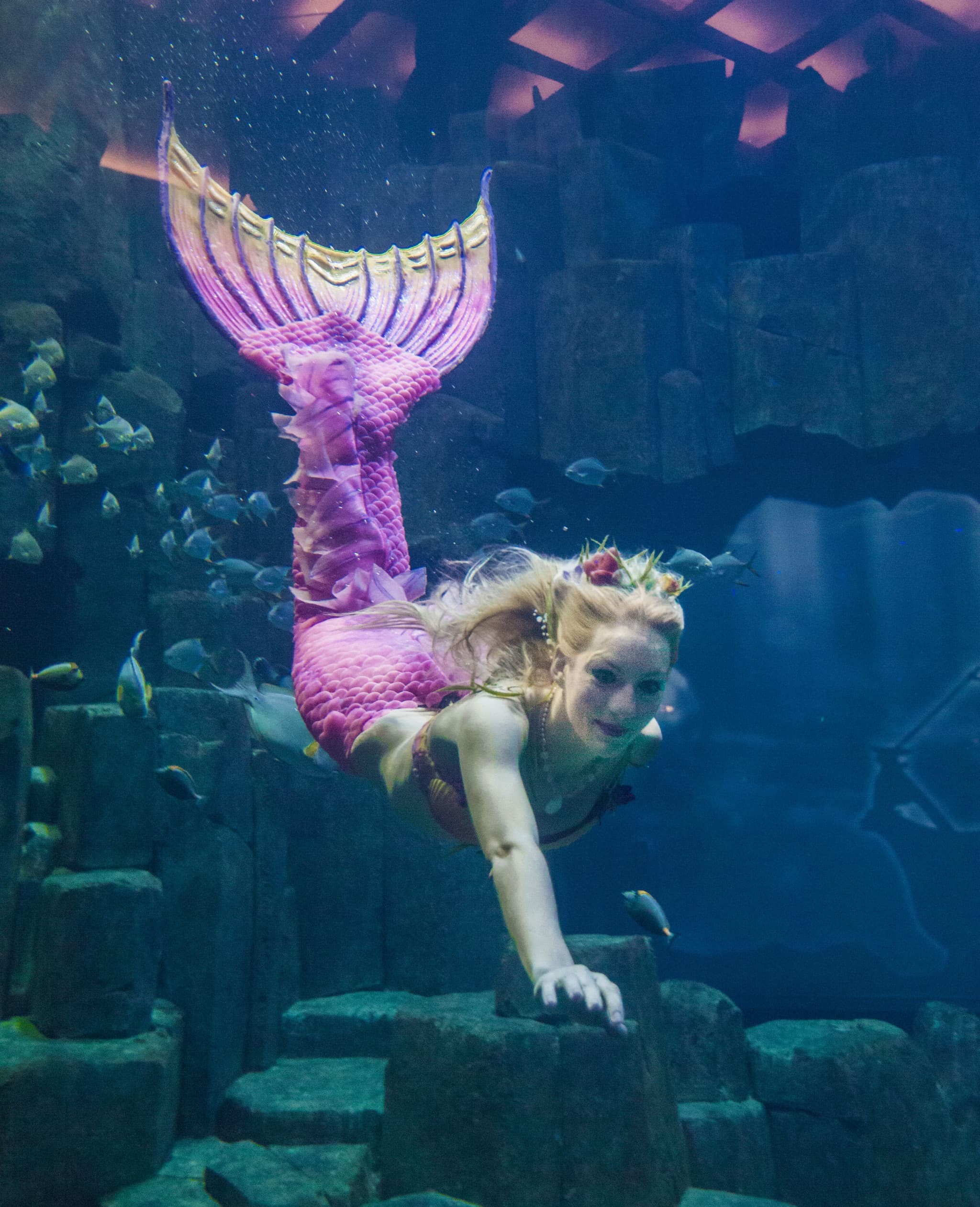 Aquarium de Paris - image 6