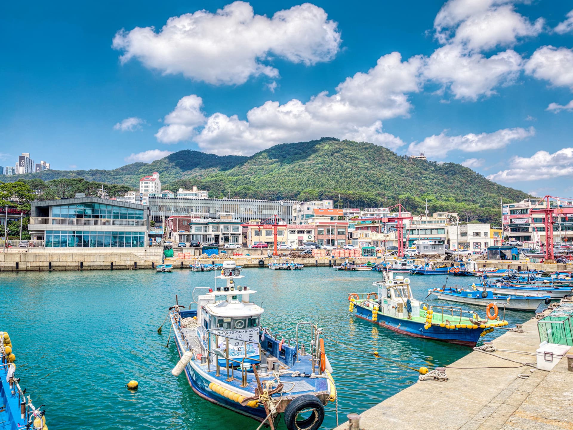 One Day Cultural Tour in Busan: Haedongyonggungsa Temple, Cheongsapo, Gamcheon Culture Village - 이미지 4