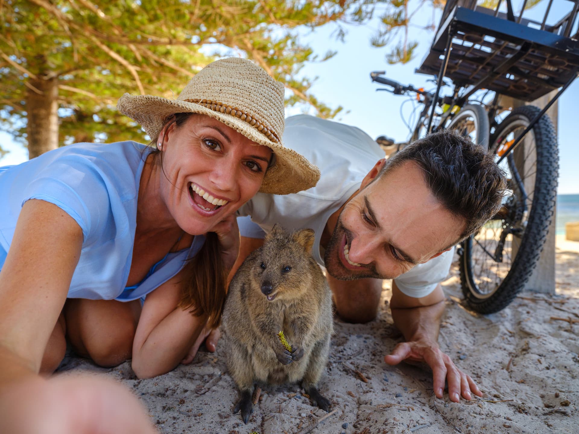 Round Trip SeaLink Ferry Transfer to Rottnest Island with Bike Hire - main image