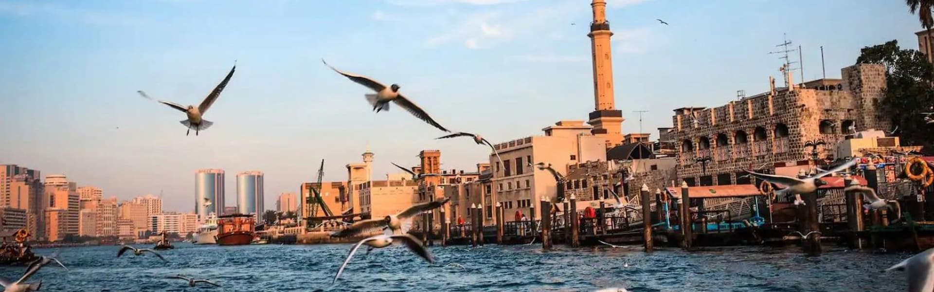 Go City Dubai Highlights Pass: Save up to 50% on Attractions - imagen 18