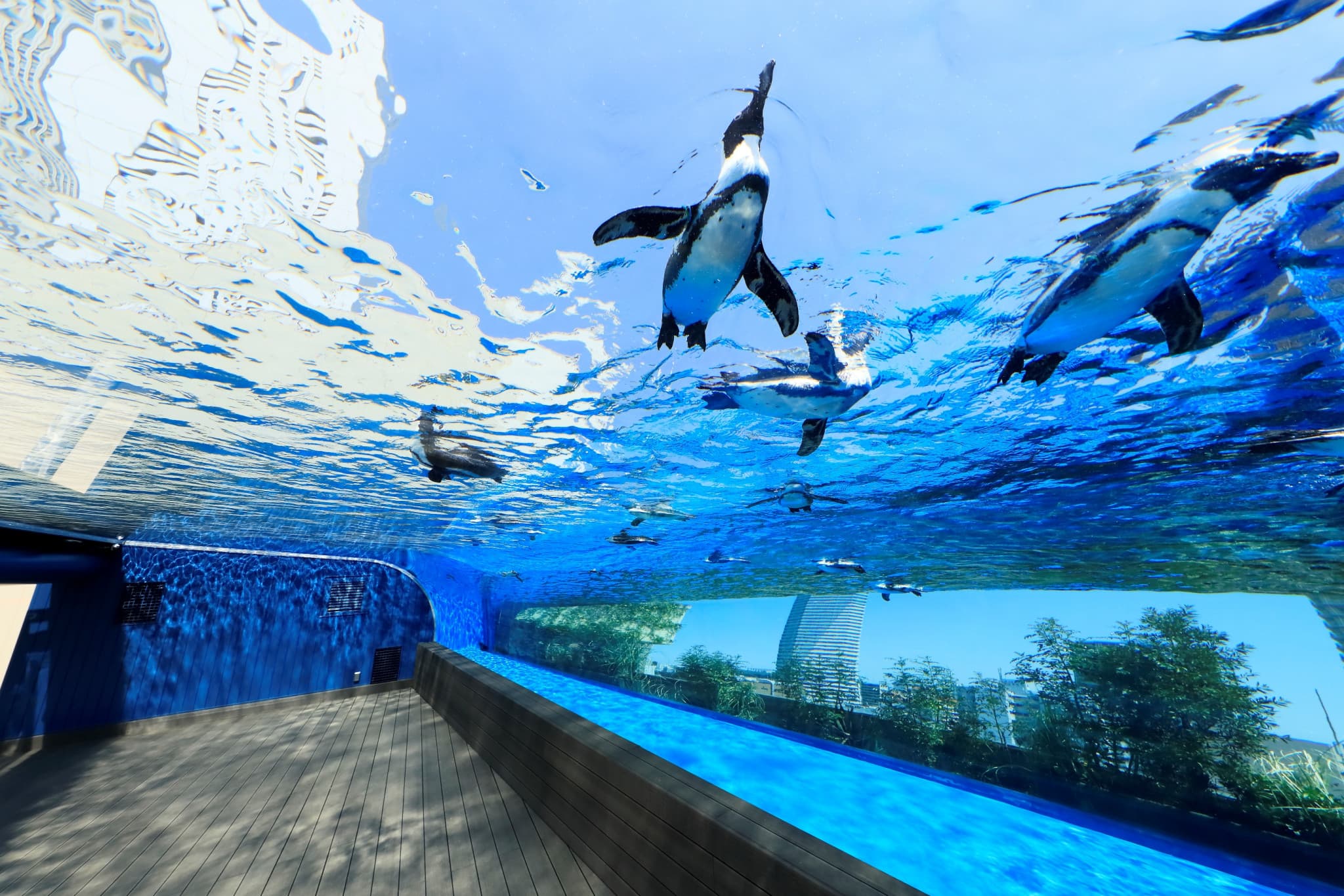 Tokyo Sunshine Aquarium - main image