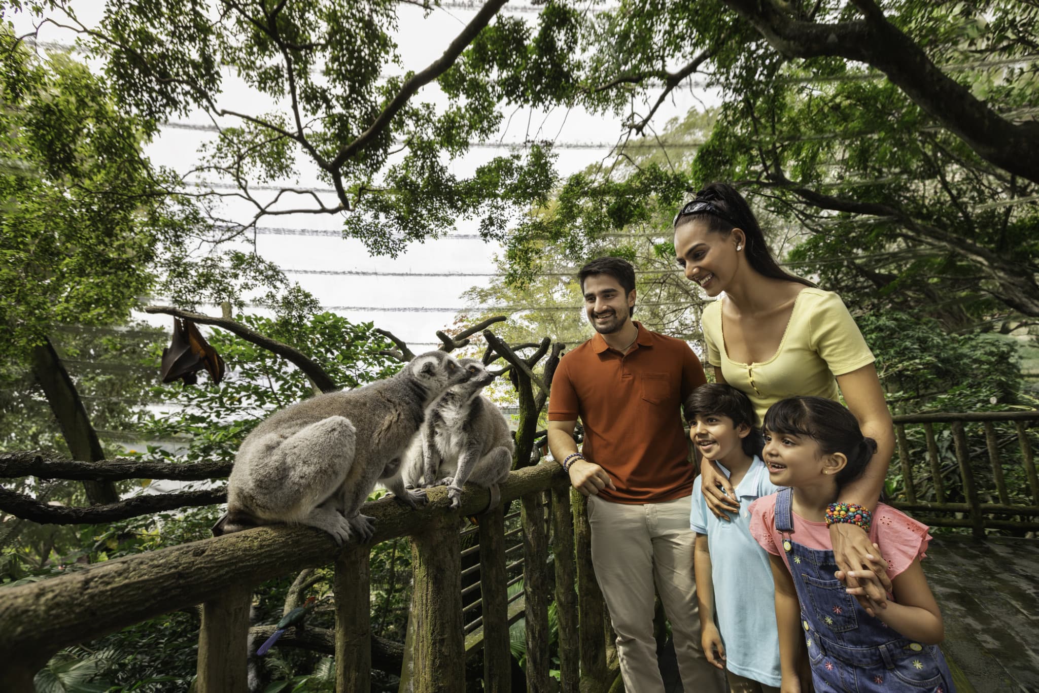 Singapore Zoo Ticket - image 9