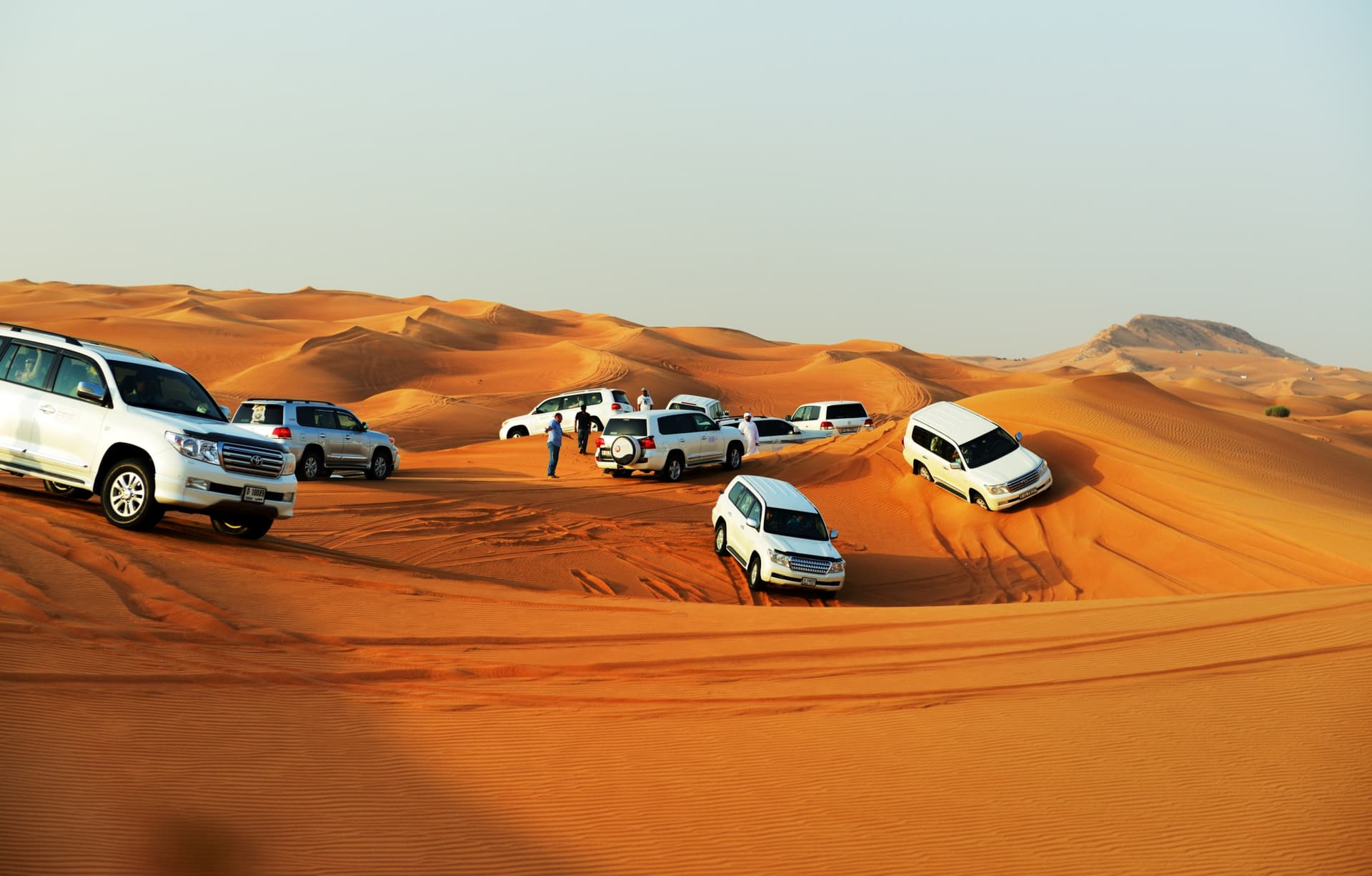 Liwa Desert Safari Tour - image 3
