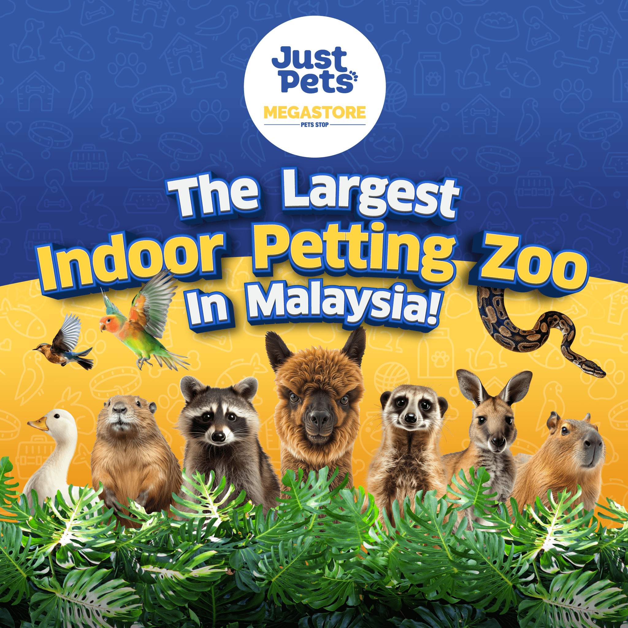 Just Farm Indoor Zoo Kuala Lumpur  (Previously Known As Just Pets Megastore) - main image