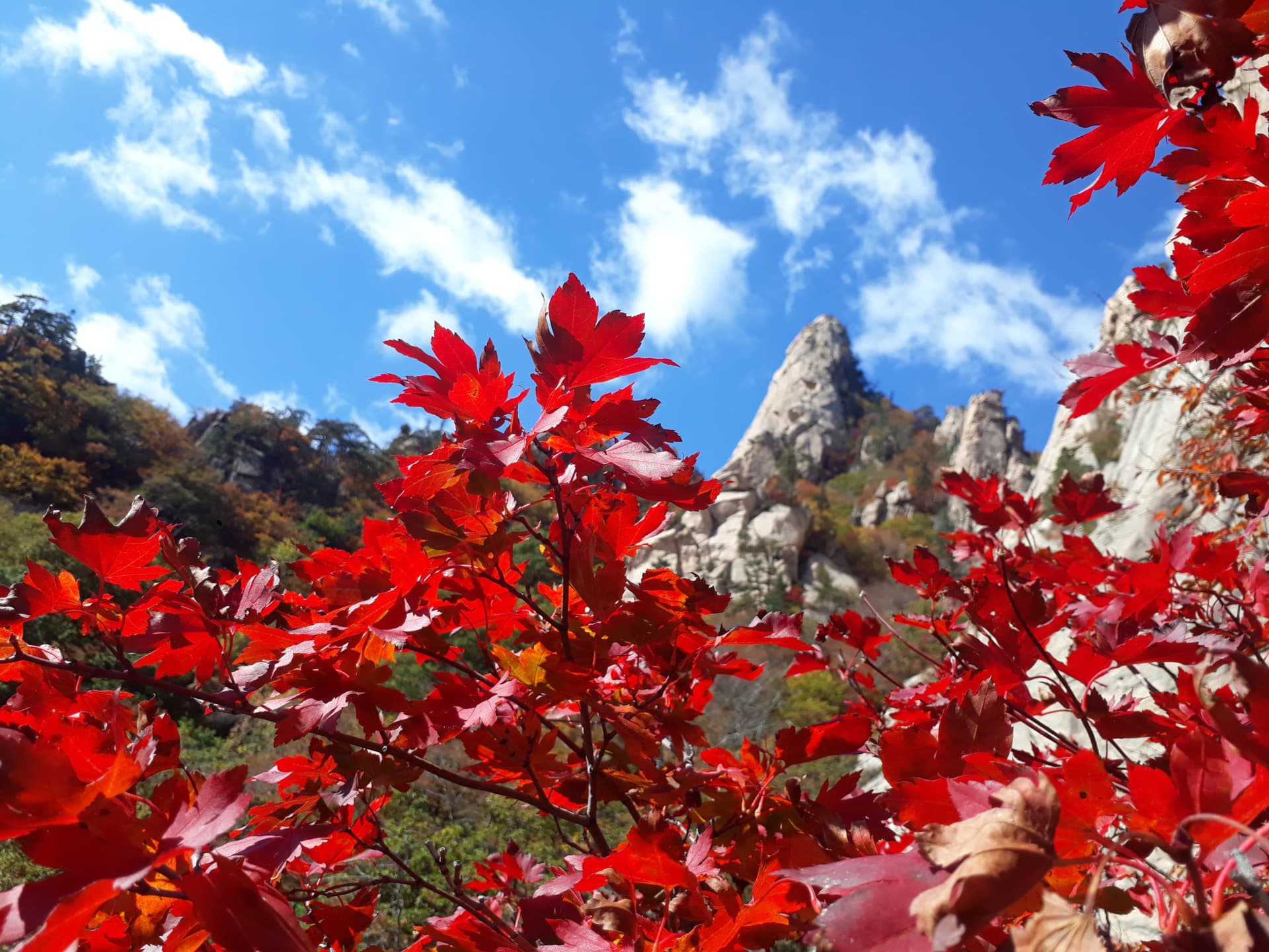 Nami Island, Mount Seorak, and Gapyeong Rail Bike Full-Day Tour from Seoul - 이미지 8