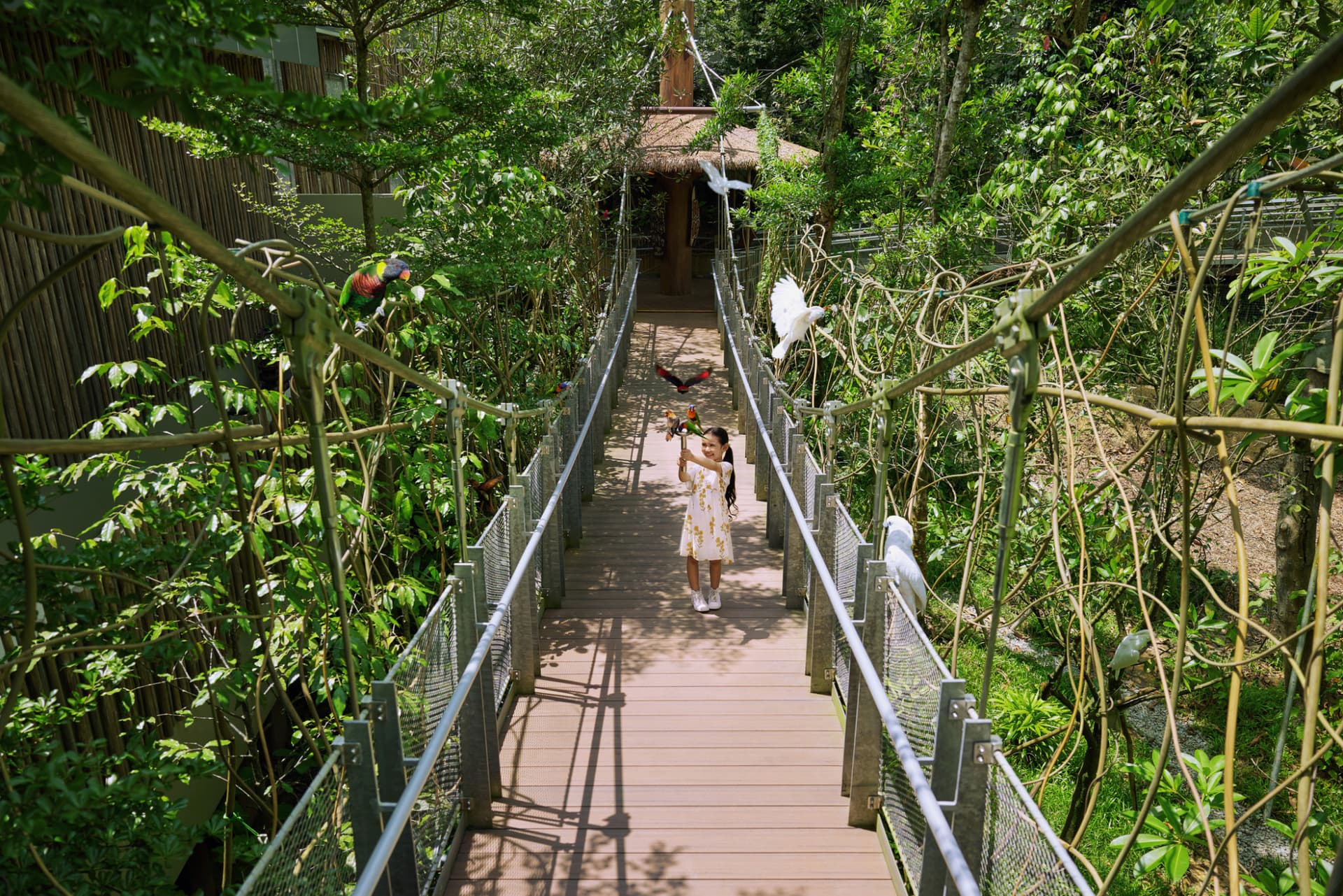 Mandai Destination Pass: Visit Up to 6 Attractions in 1 or 5 Days - image 18