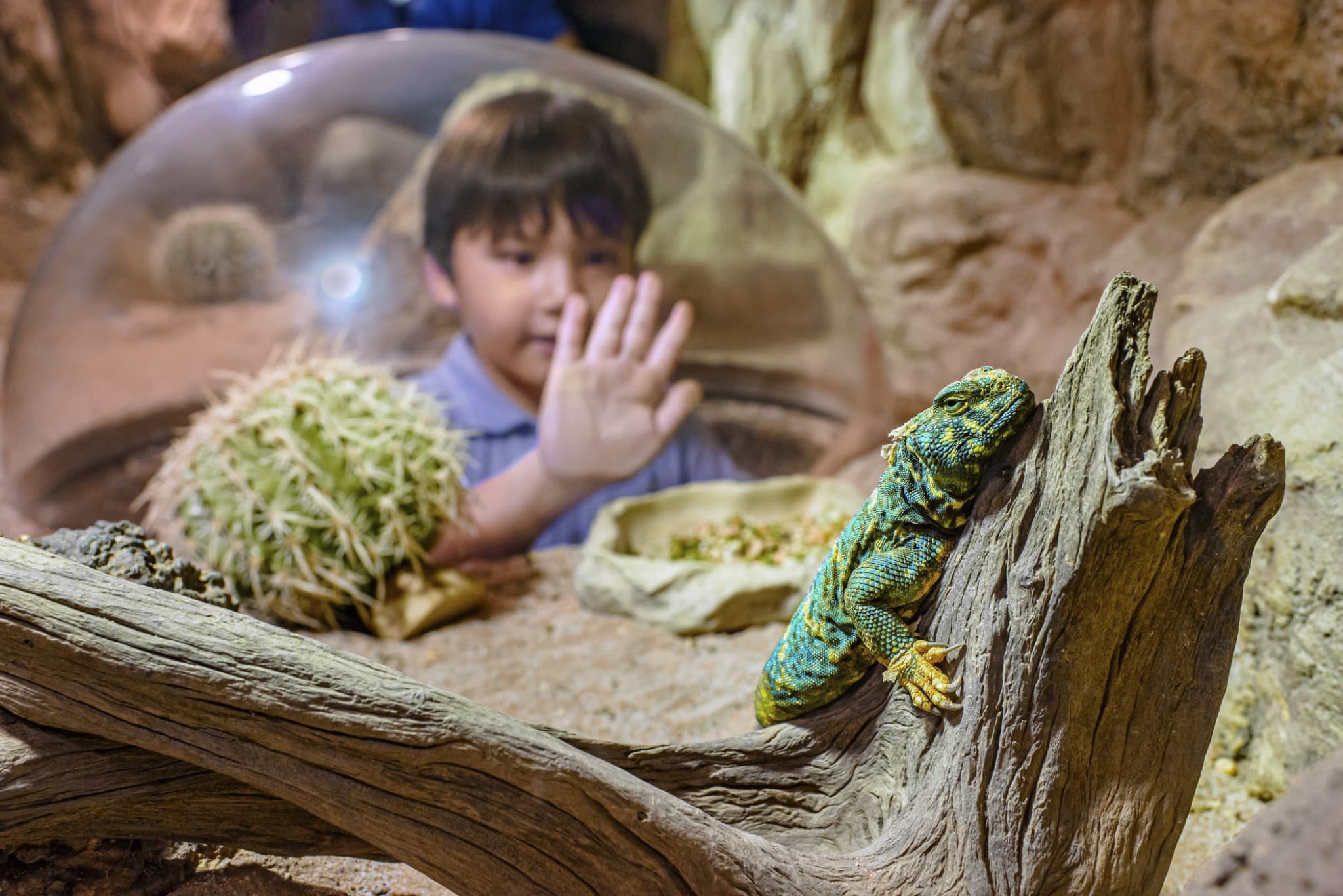 Singapore Zoo Ticket - image 13