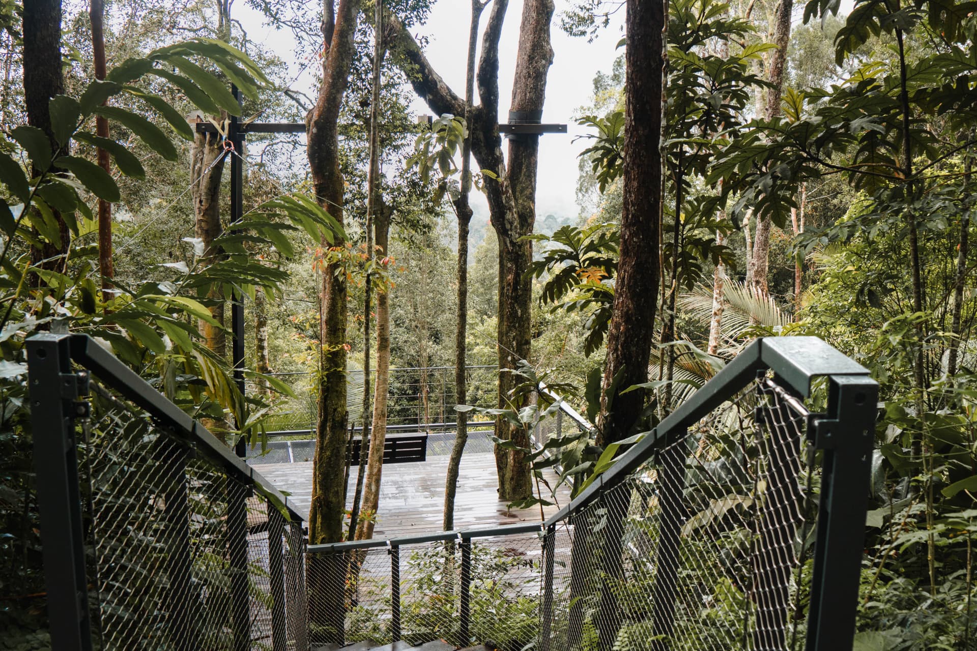 The Habitat Penang Hill Ticket - image 16