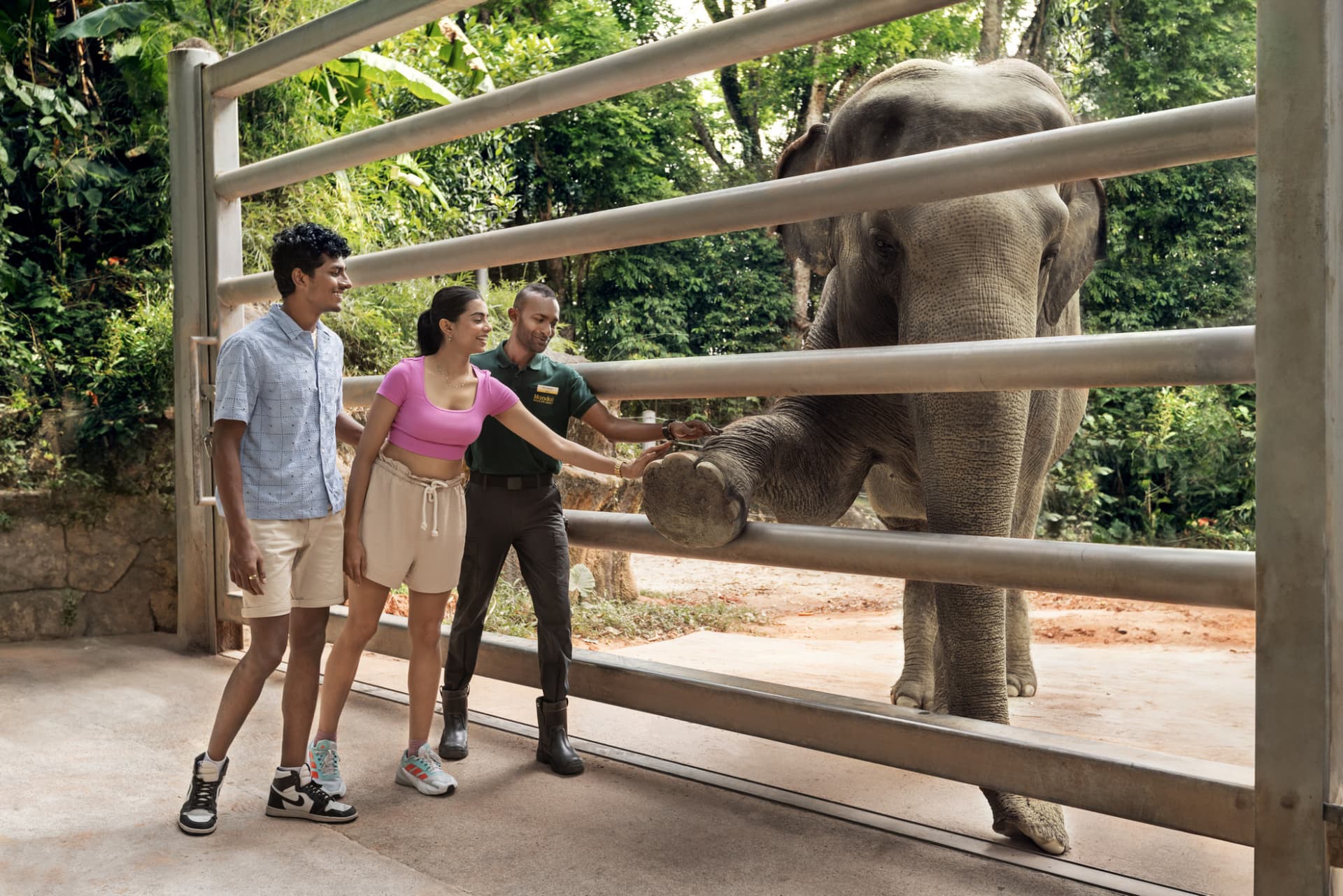 Entrada para el Singapore Zoo - imagen 10