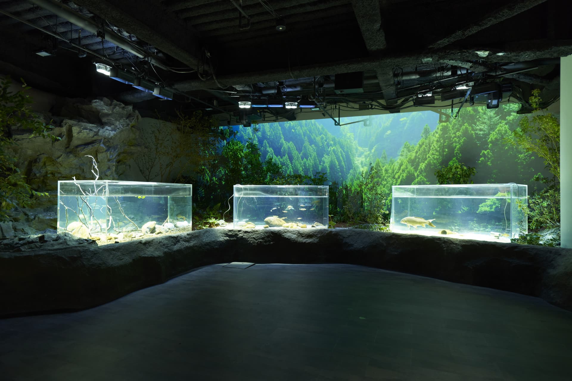 Kawasaki Aquarium Ticket - image 11