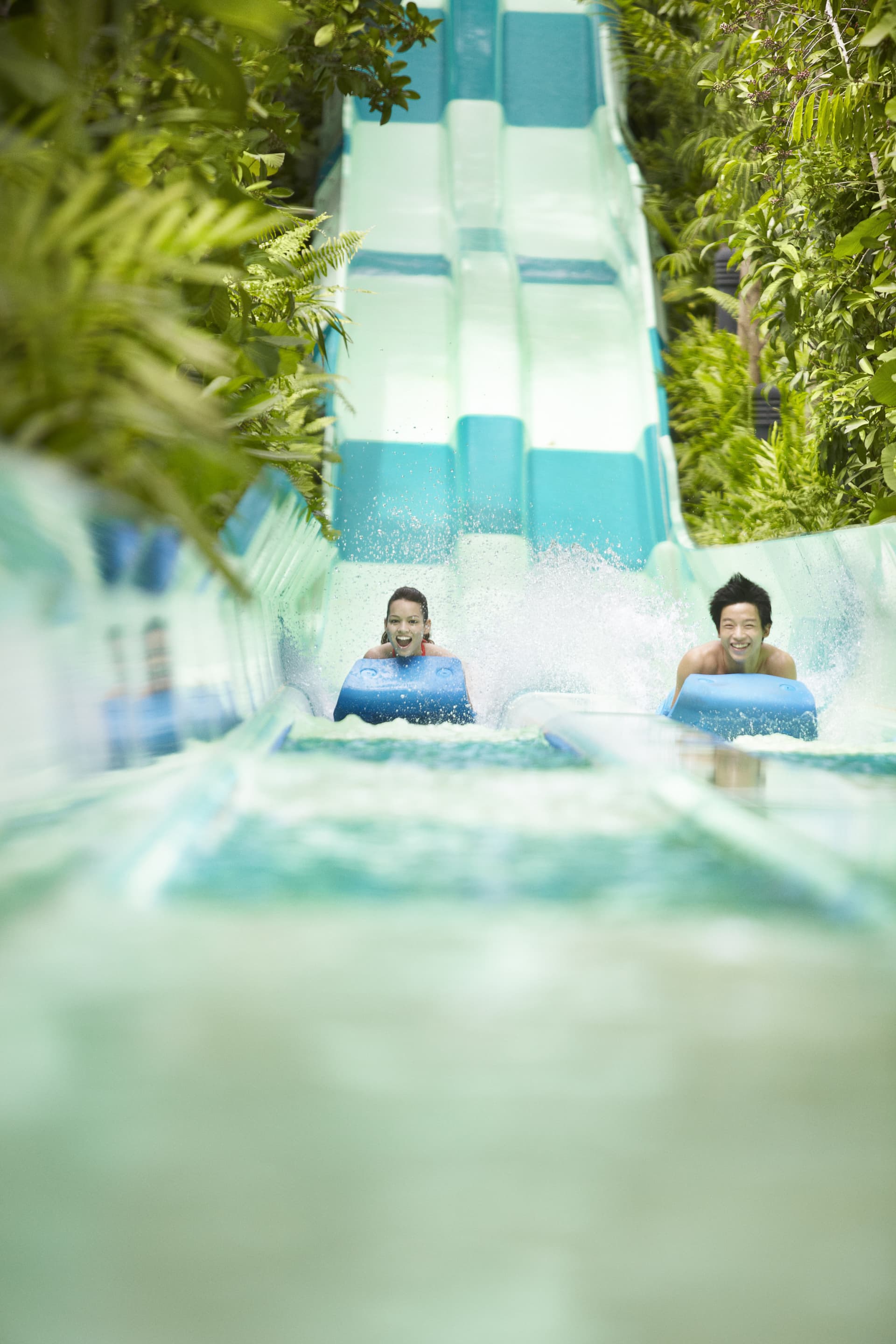 Adventure Cove Waterpark‎ Express Pass - image 15