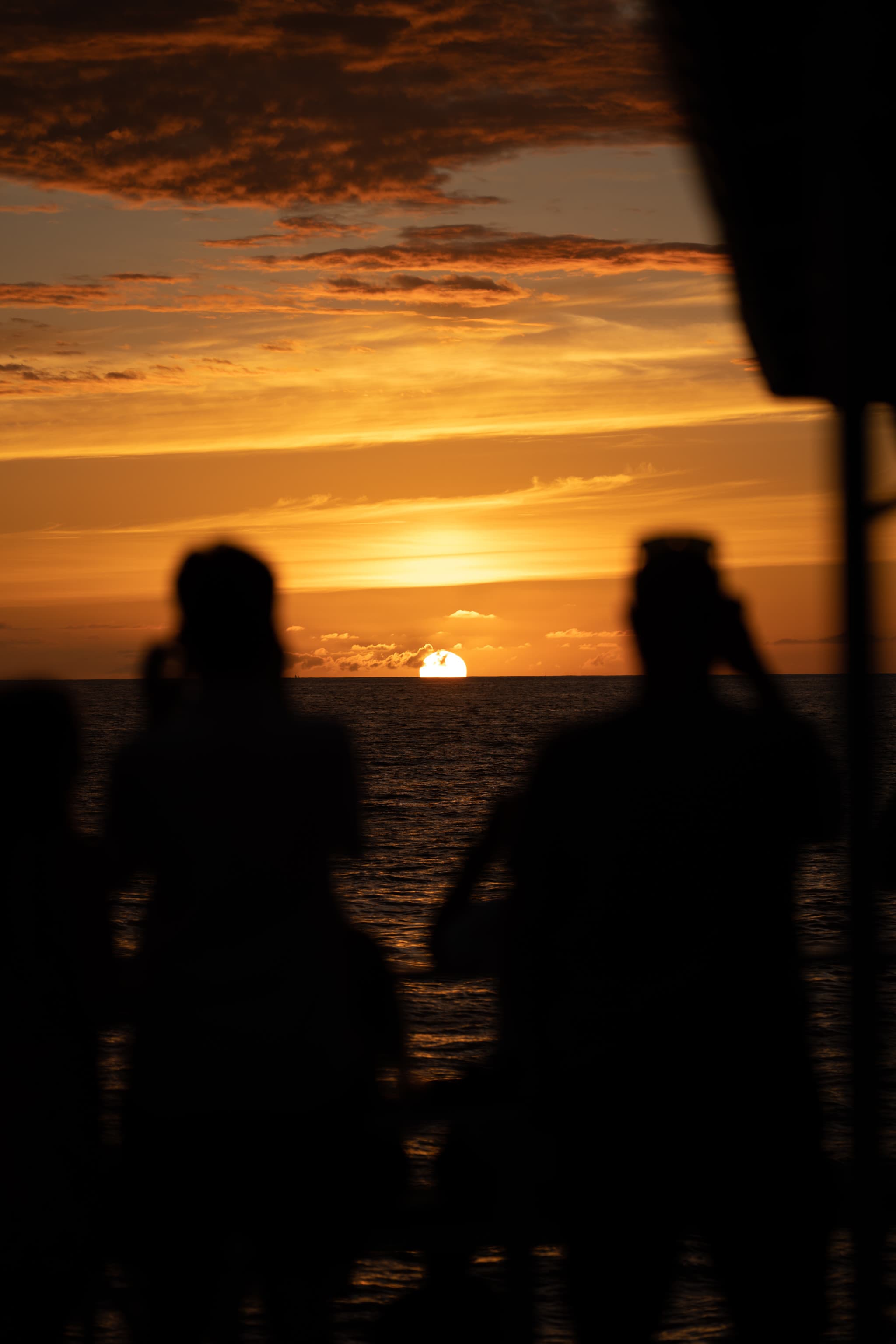 Dinner Cruise from Kona Coast to Kealakekua Bay - image 14