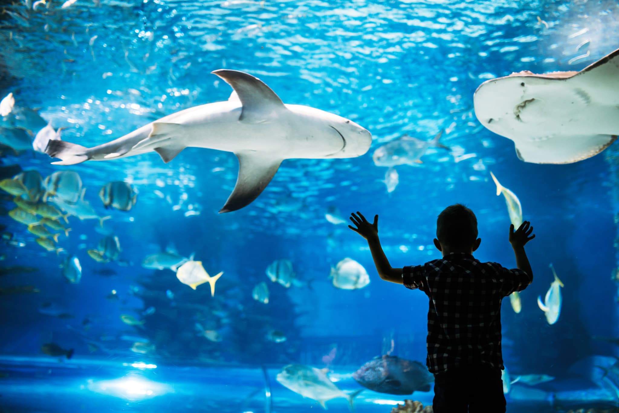 Go City Philadelphia Explorer Pass: Save up to 50% on Attractions - image 5