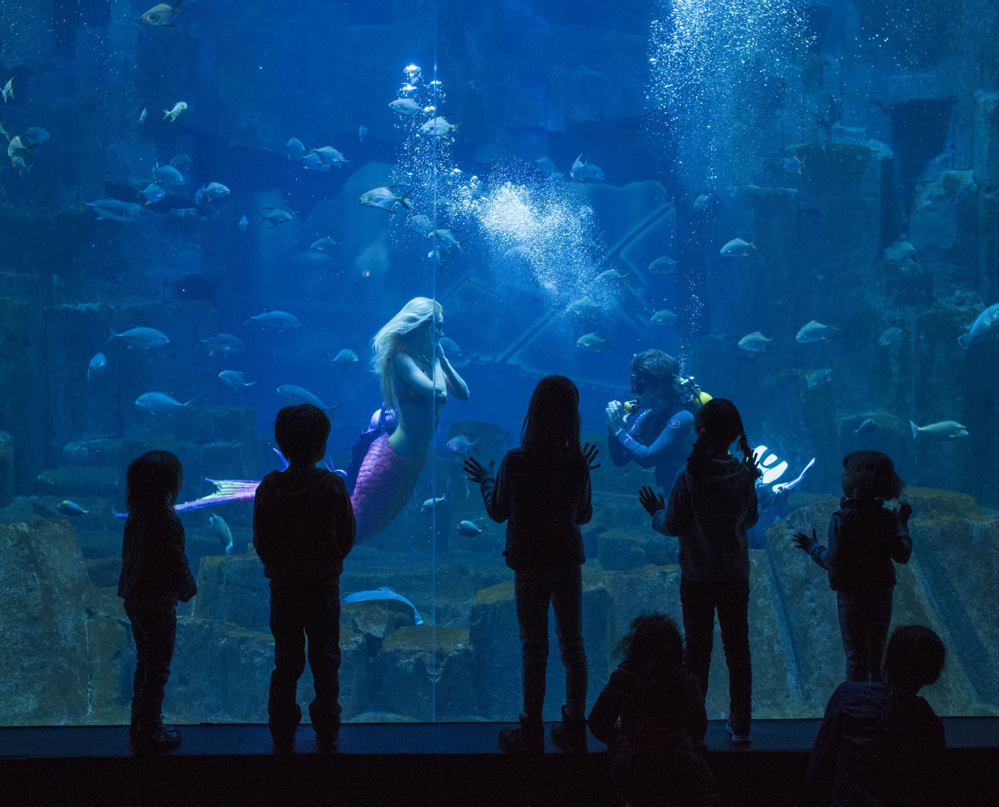 Go City Paris Explorer Pass: Save up to 50% on Attractions - image 11
