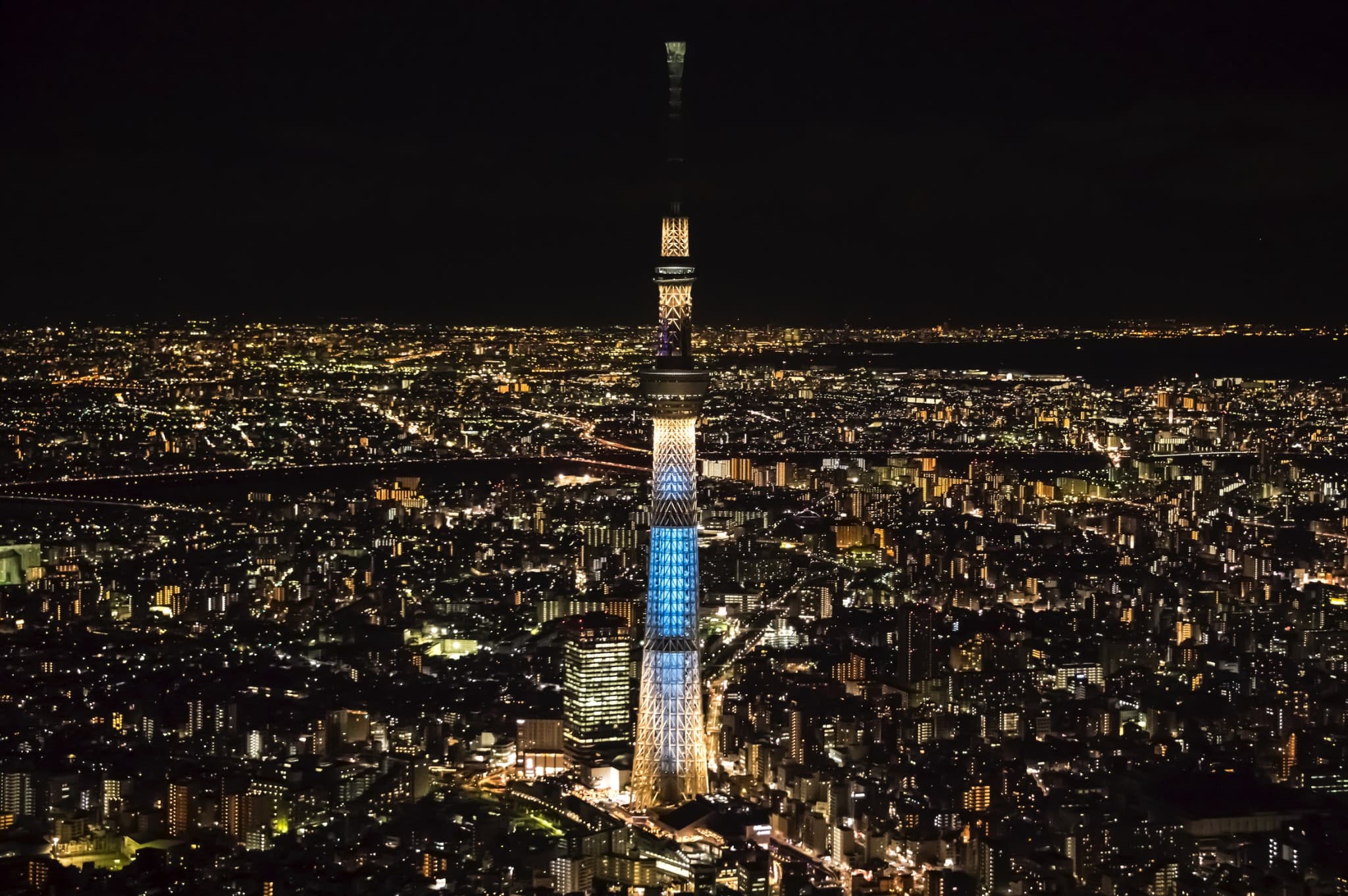 COMBO: Tokyo Skytree + Sumida Aquarium - image 5