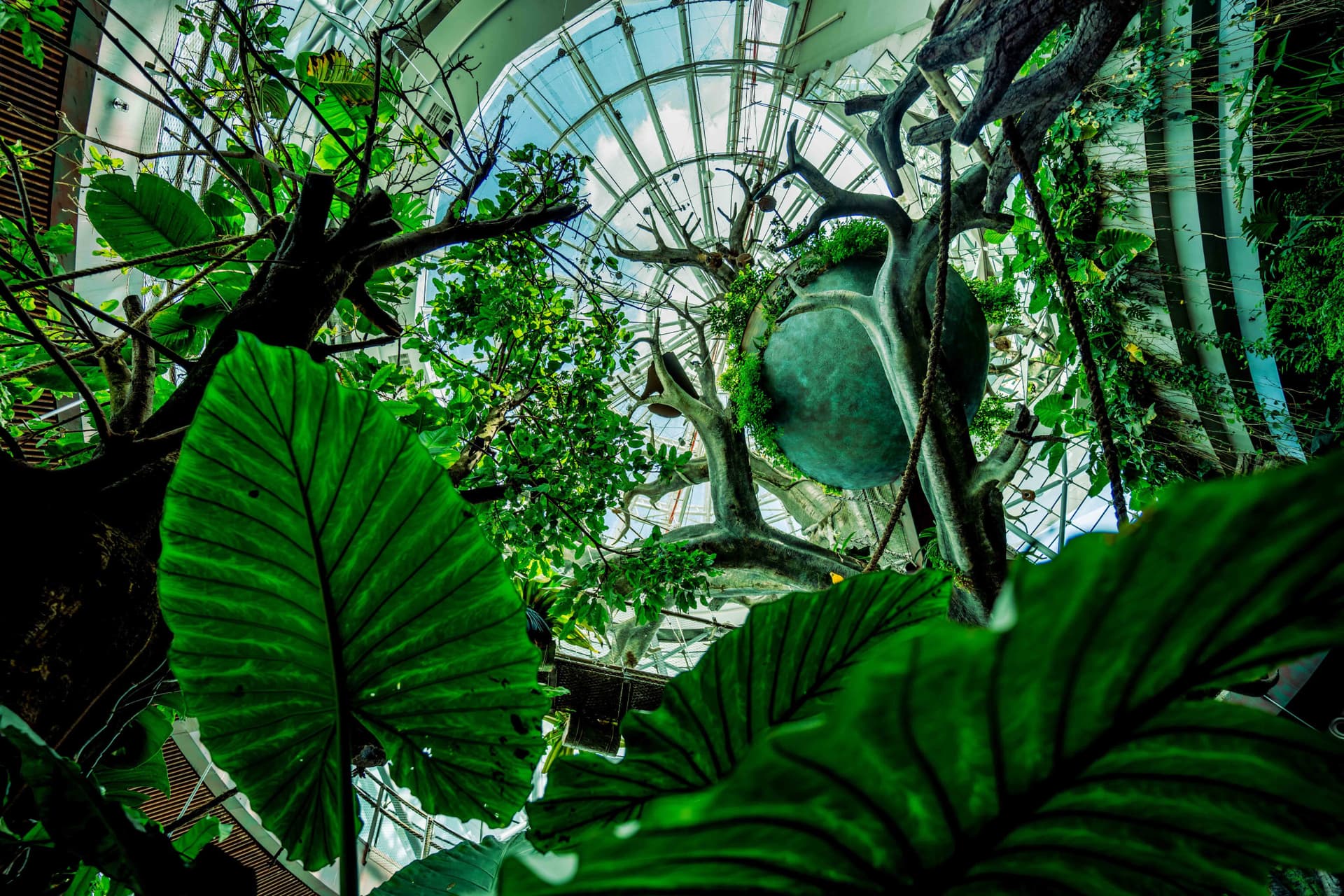 The Green Planet Dubai Ticket - image 2