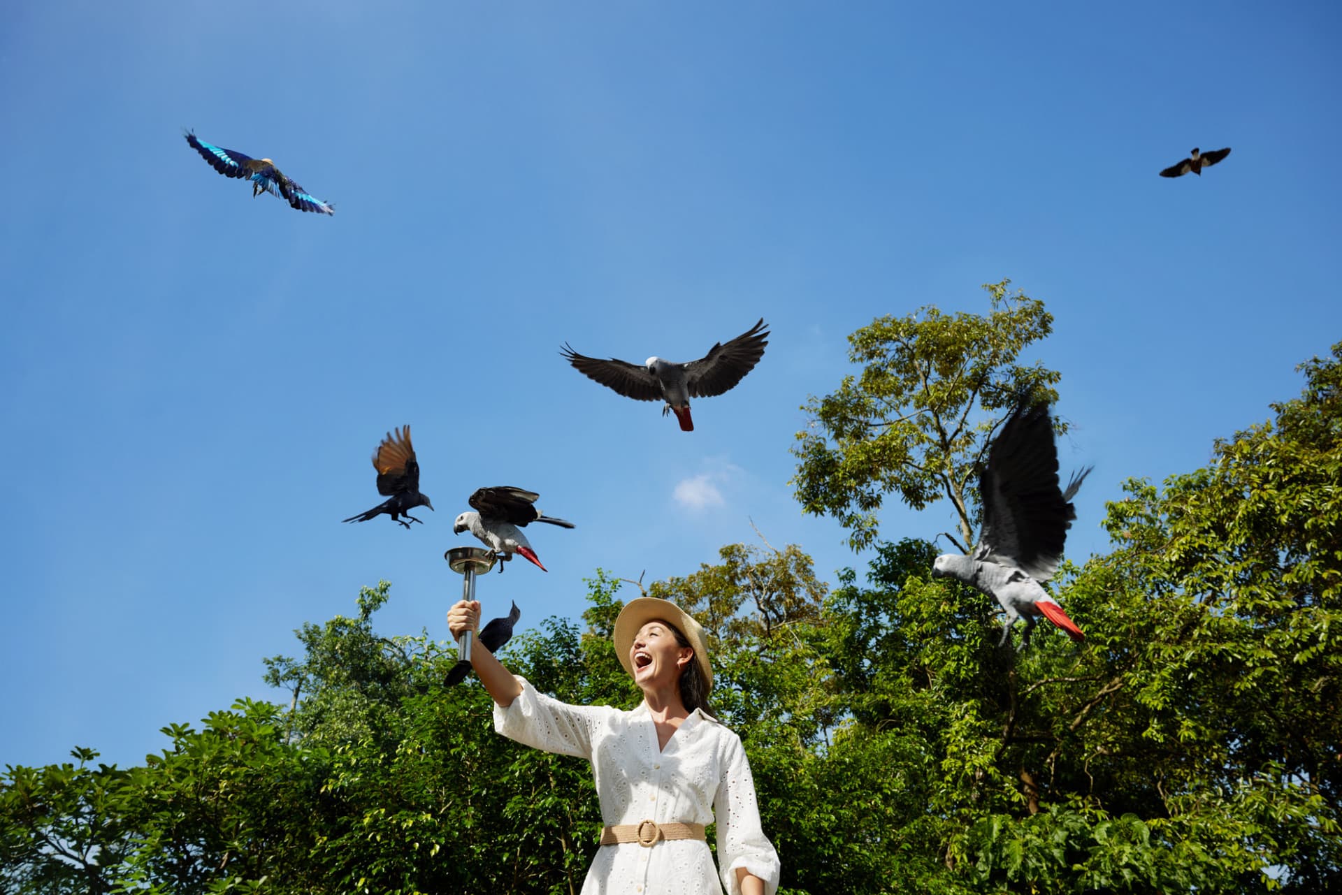 Mandai Destination Pass: Visit Up to 6 Attractions in 1 or 5 Days - image 21