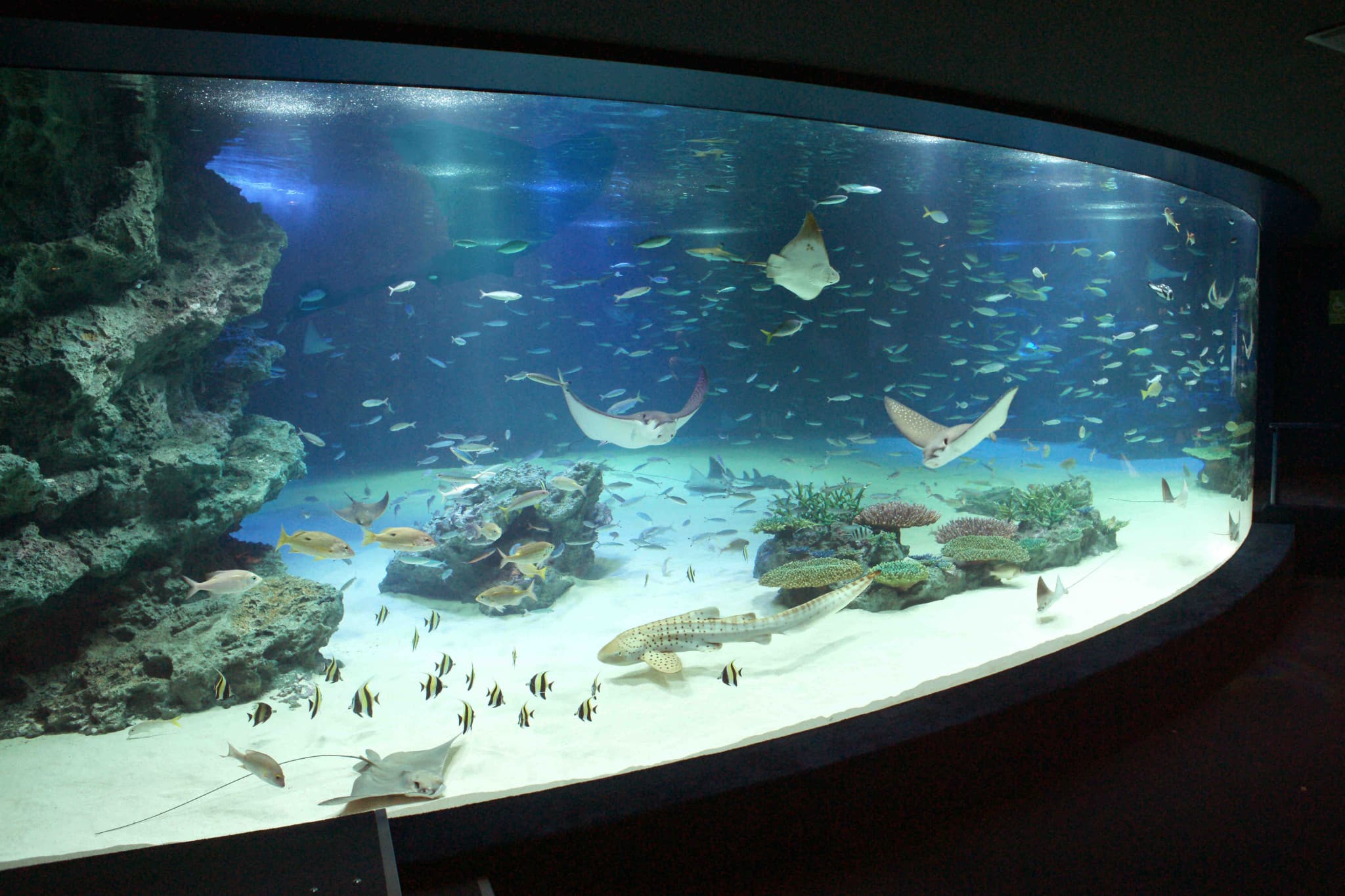 Tokyo Sunshine Aquarium - image 4