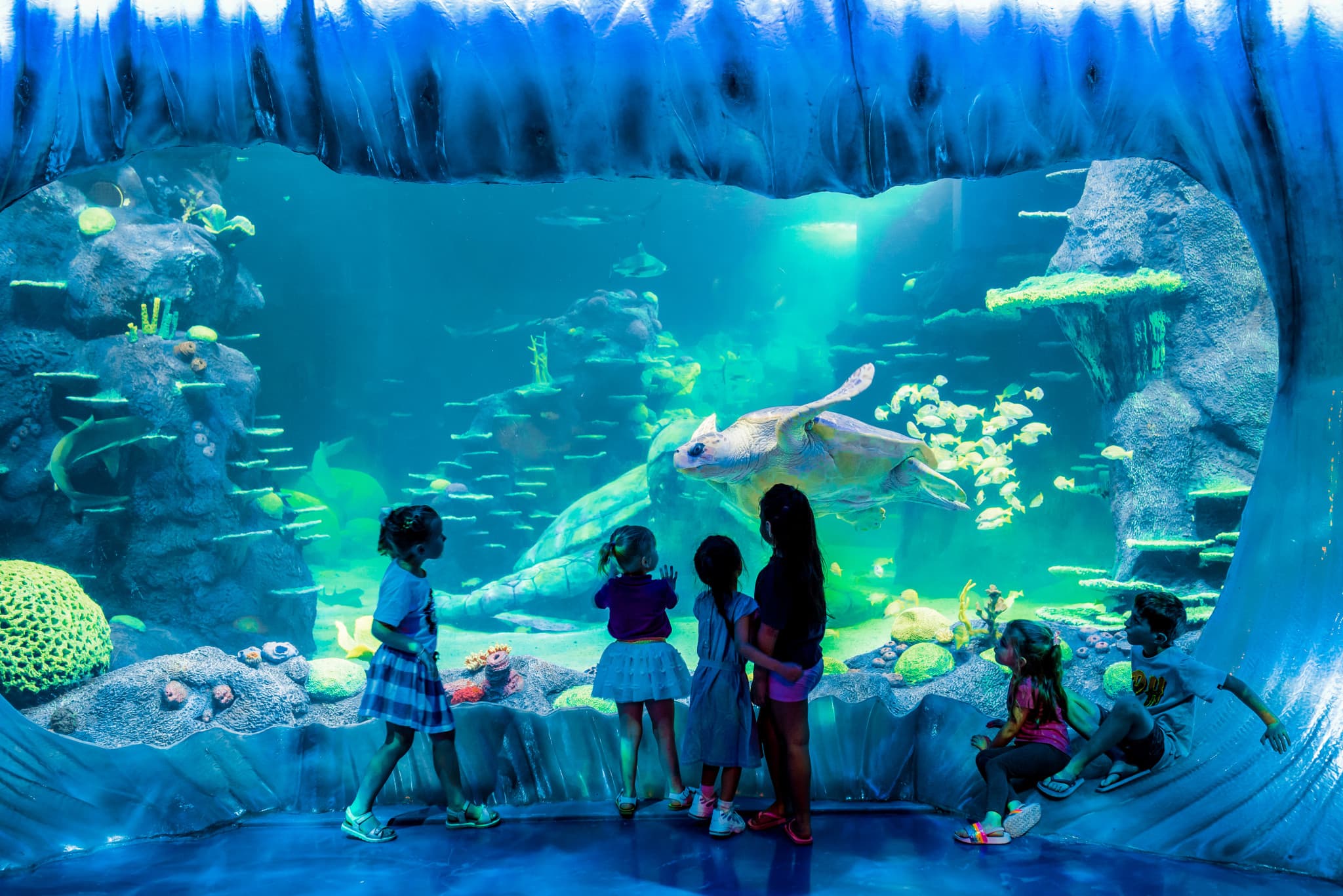 Go City Sydney Essentials Pass: 3 Attractions - image 13