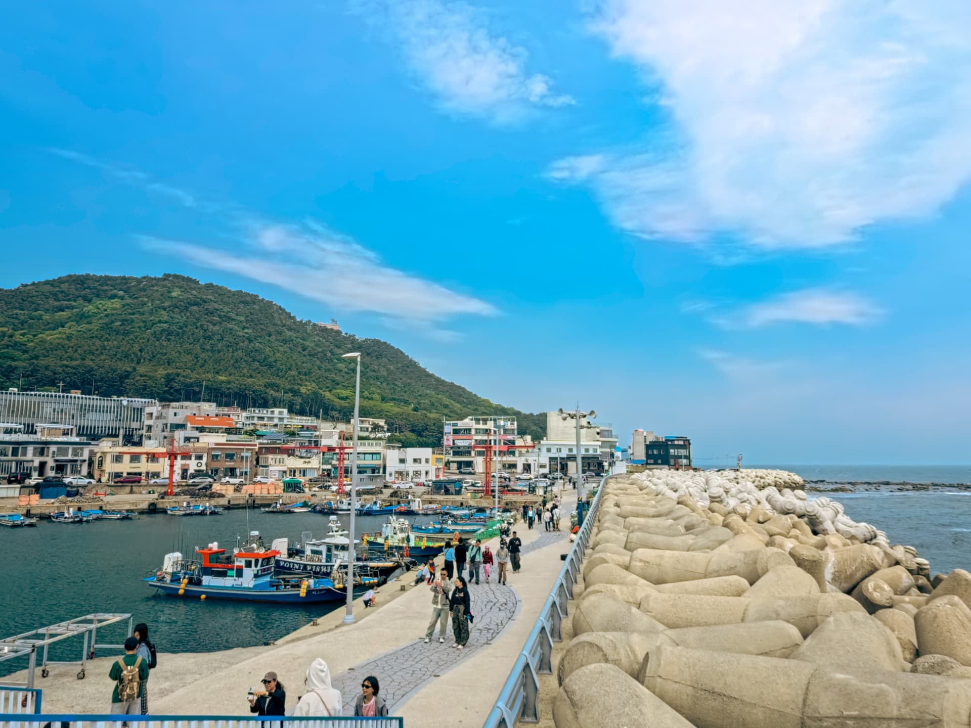 One Day Cultural Tour in Busan: Haedongyonggungsa Temple, Cheongsapo, Gamcheon Culture Village - 대표 이미지
