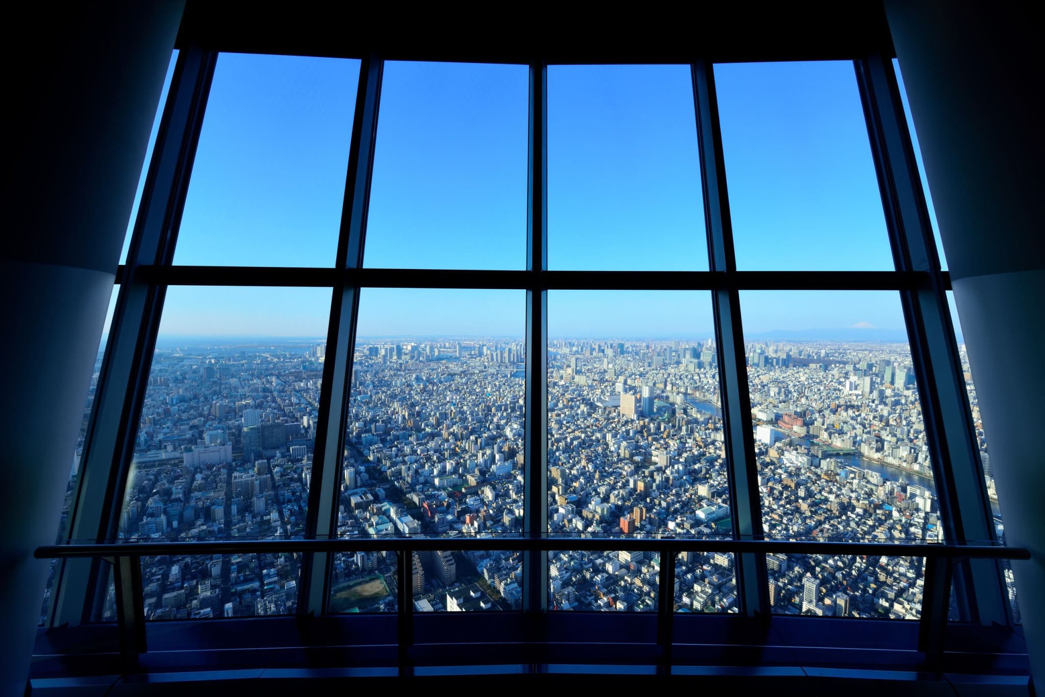 COMBO: Tokyo Skytree + Sumida Aquarium - image 3