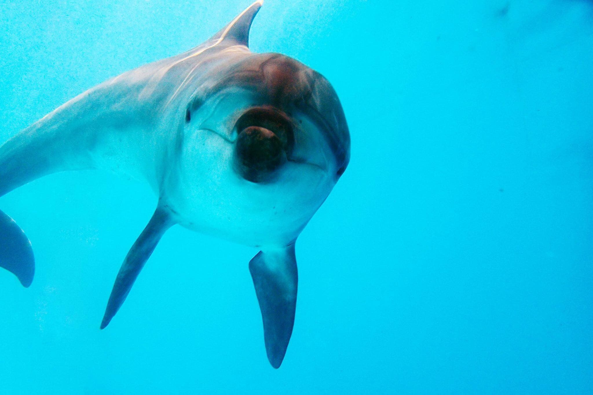 Yehliu Ocean World - main image