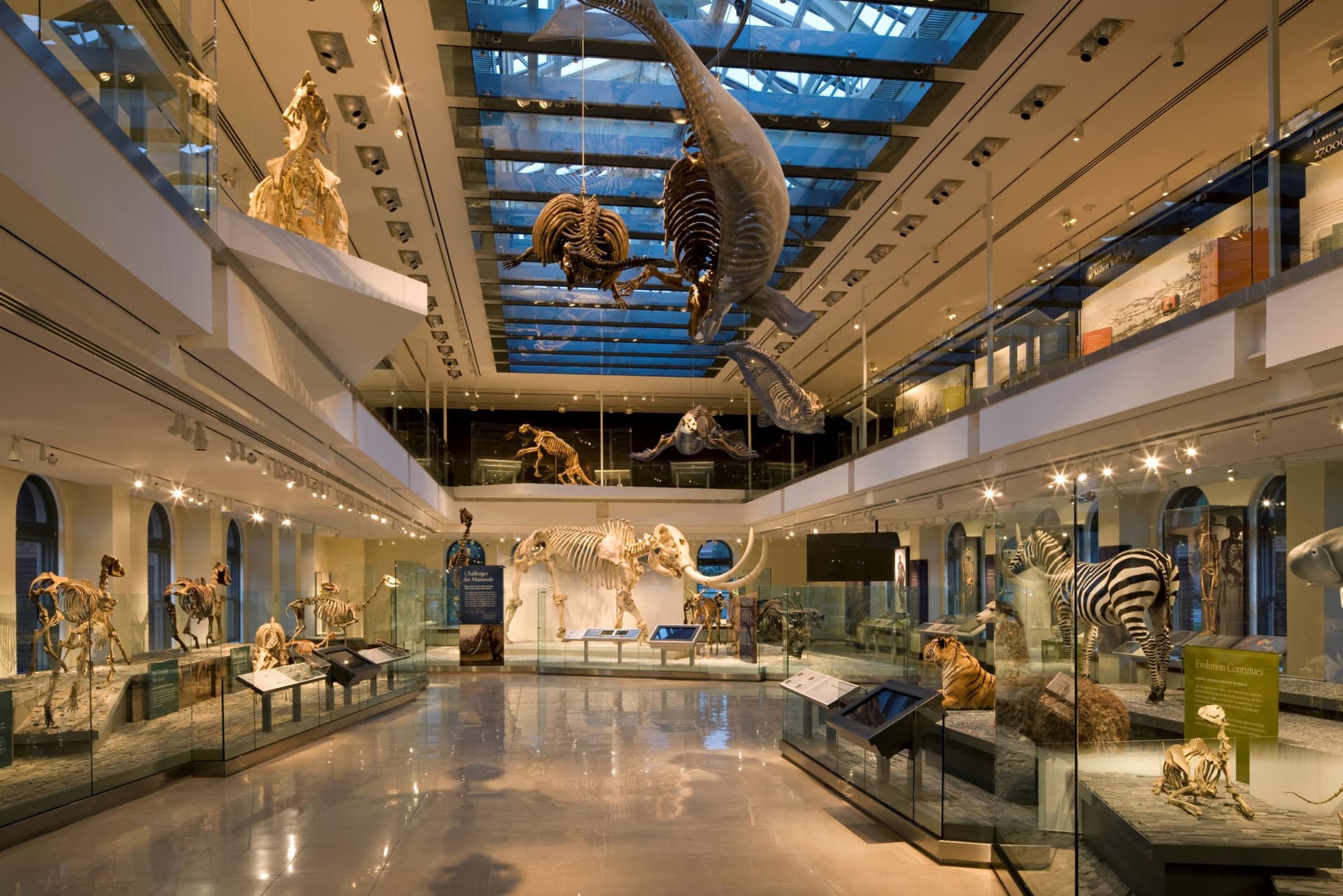 Go City Los Angeles Essentials Pass: 3 Attractions - image 5