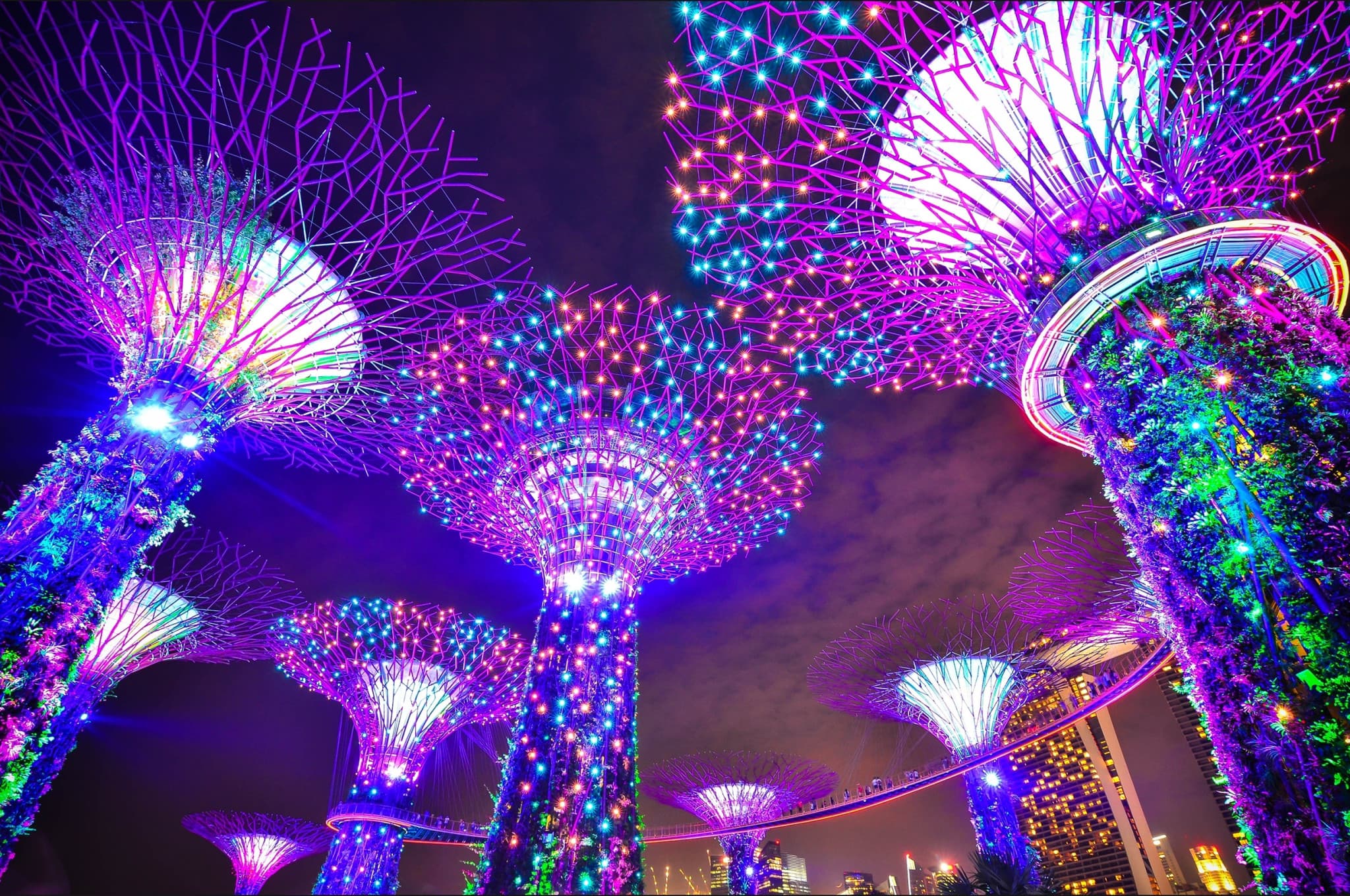 COMBO: Gardens by the Bay + Marina Bay Sands SkyPark Observation Deck Tickets - image 6