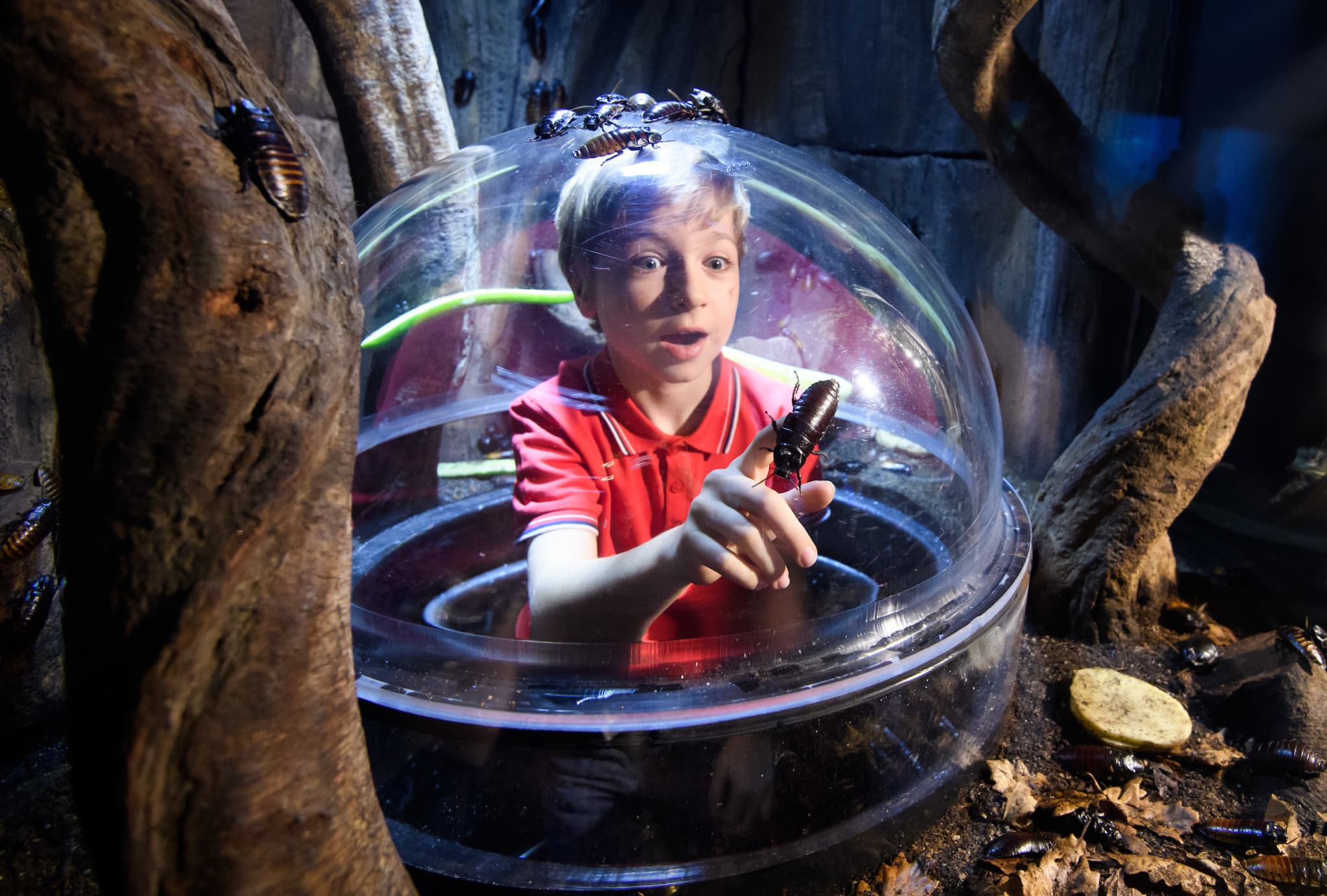 COMBO: Madame Tussauds London + SEA LIFE London Aquarium Ticket - image 15