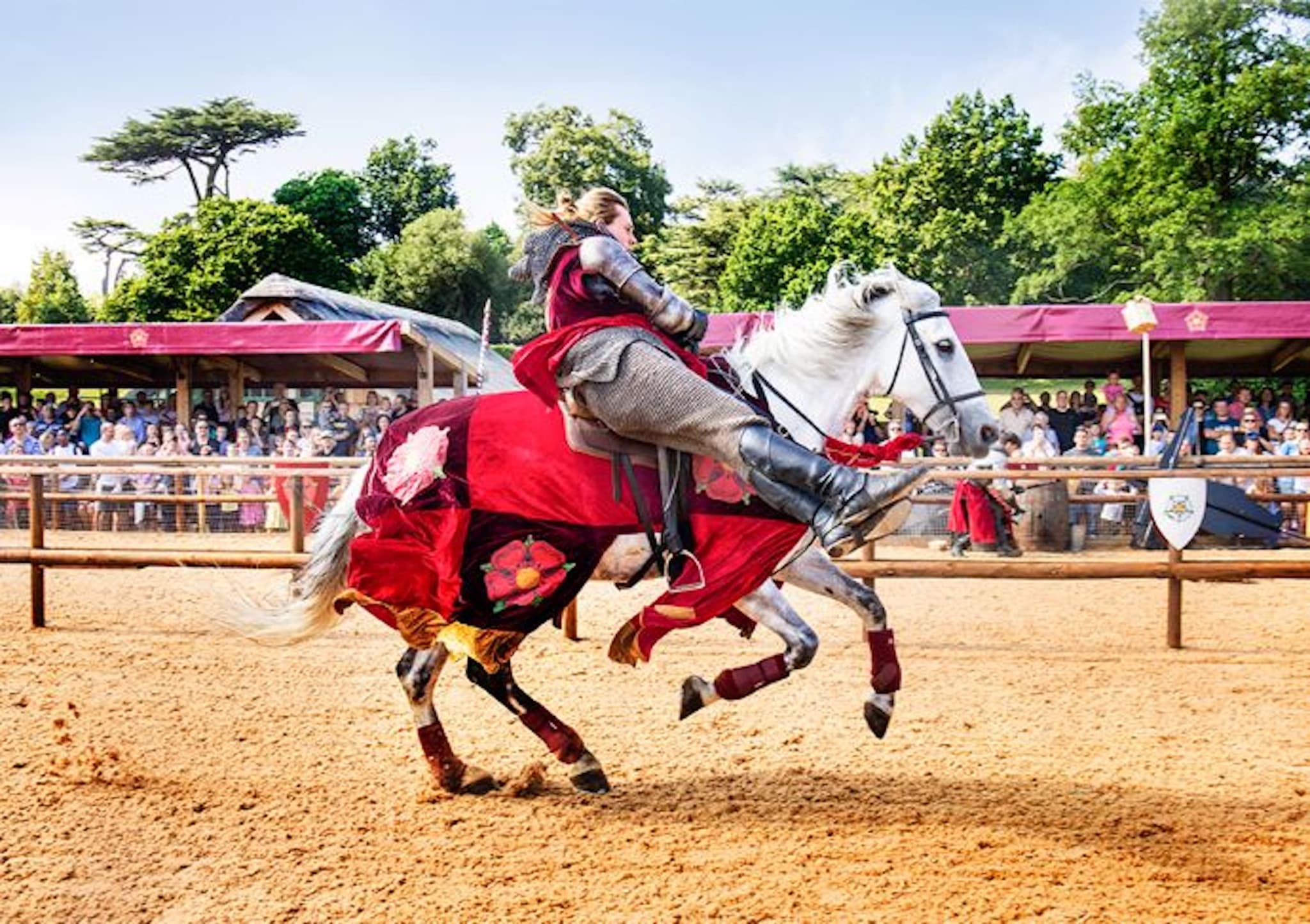 Warwick Castle - image 2