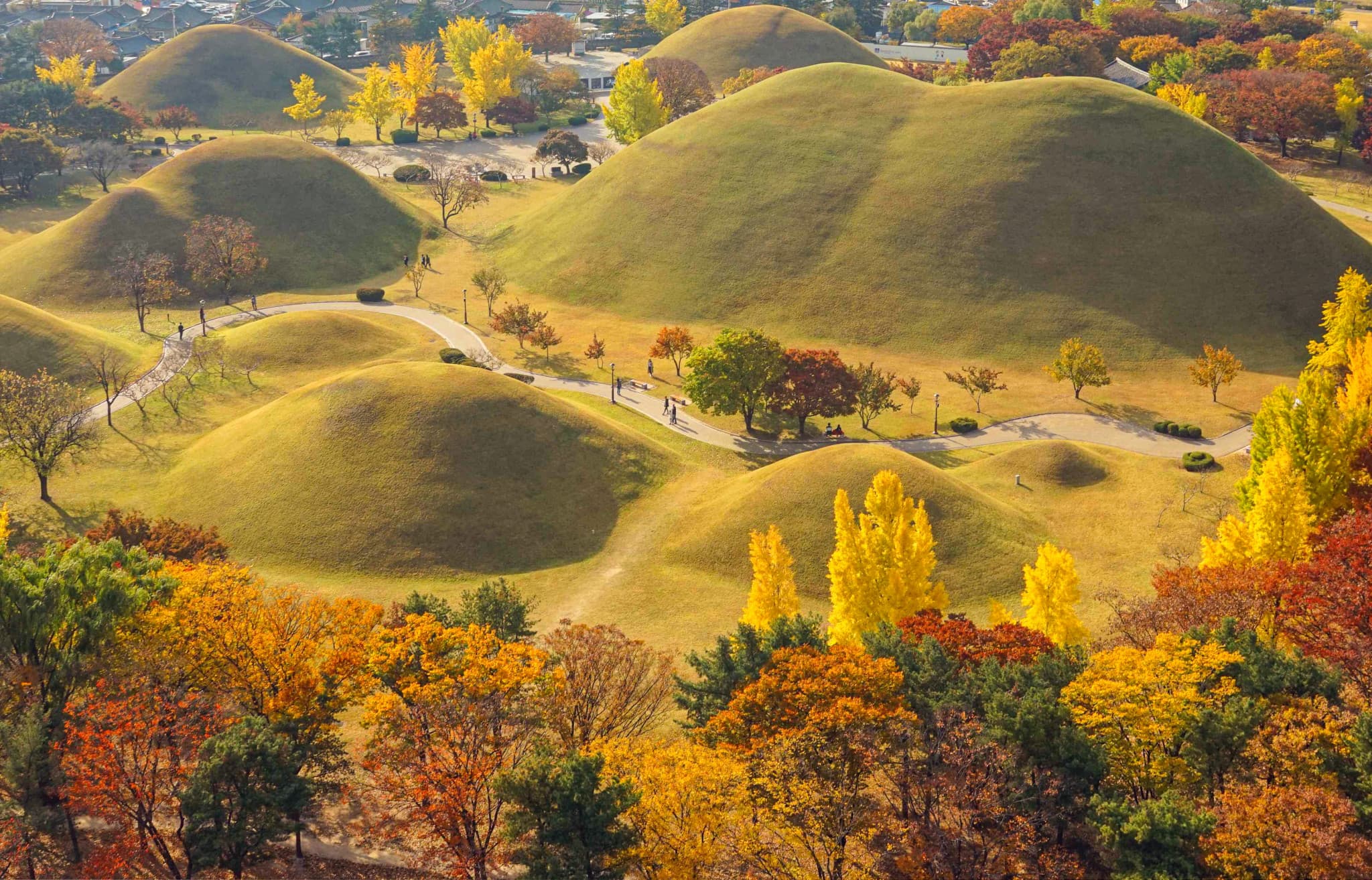 Gyeongju Autumn Foliage One Day Tour from Busan - image 2