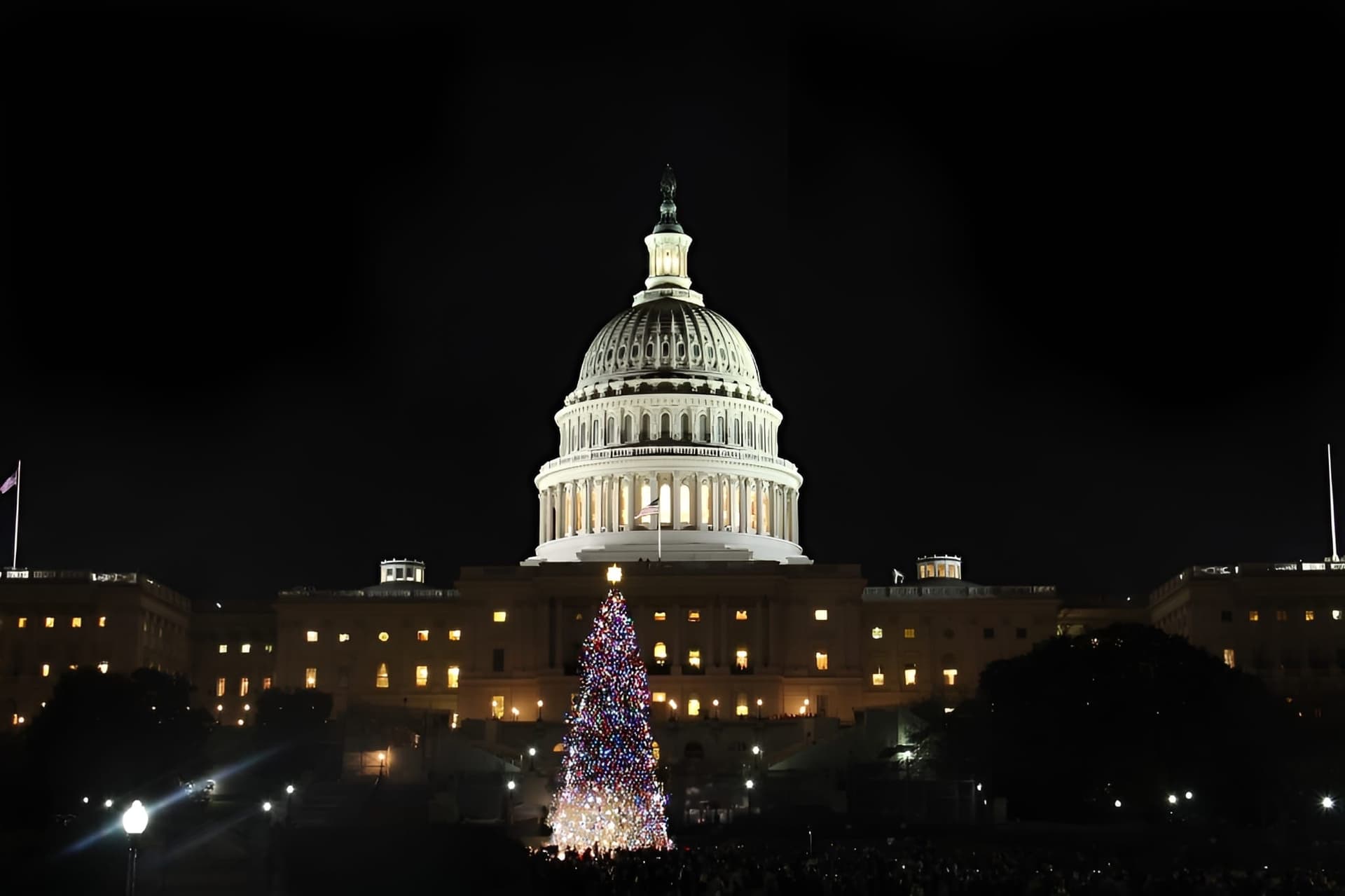 Washington DC Night Memorials Walking Tour with Skyline View - image 6