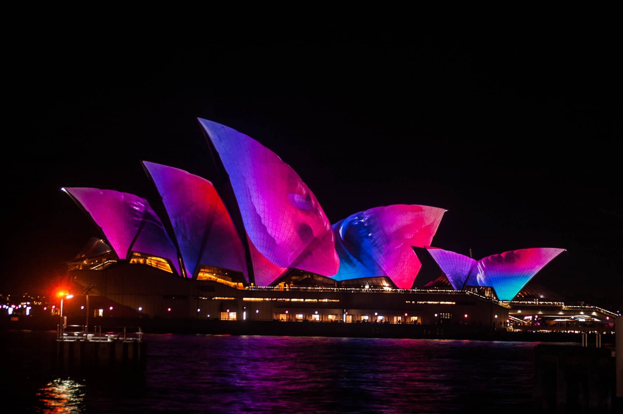 Vivid Festival of Light and Sound Cruise with Buffet Dinner aboard Sydney Princess Cruises - image 3