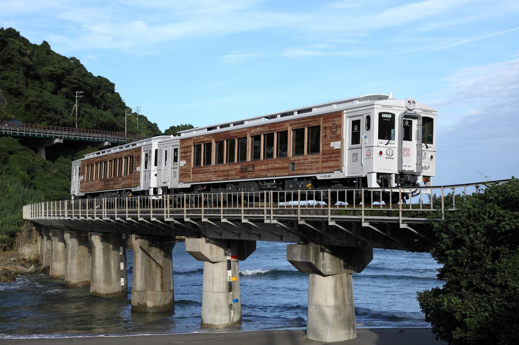 JR Kyushu Rail Pass - image 3
