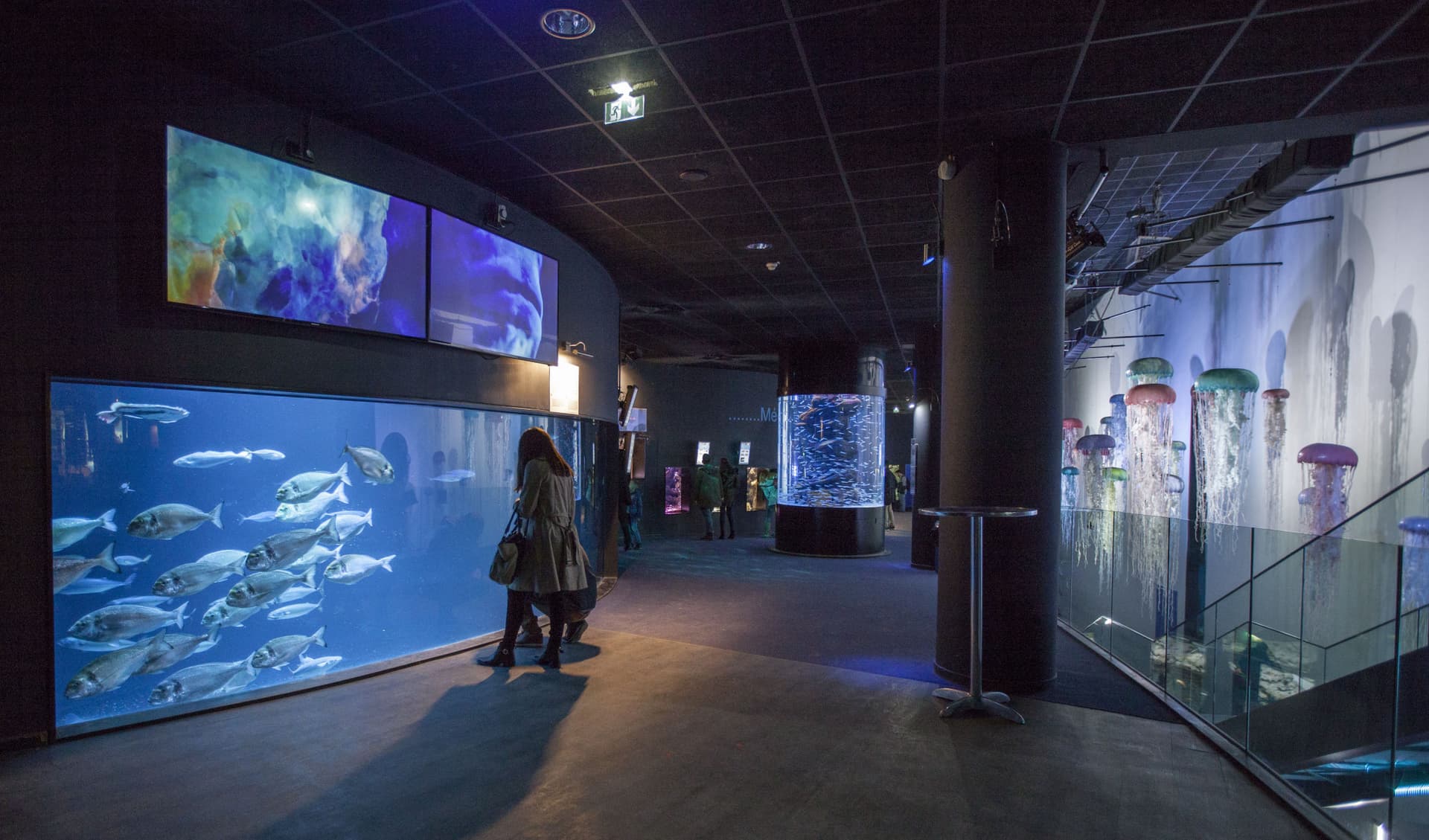 Aquarium de Paris - imagen 3