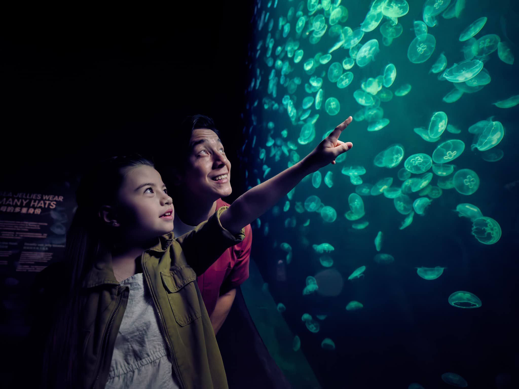Singapore Oceanarium Ticket - image 13