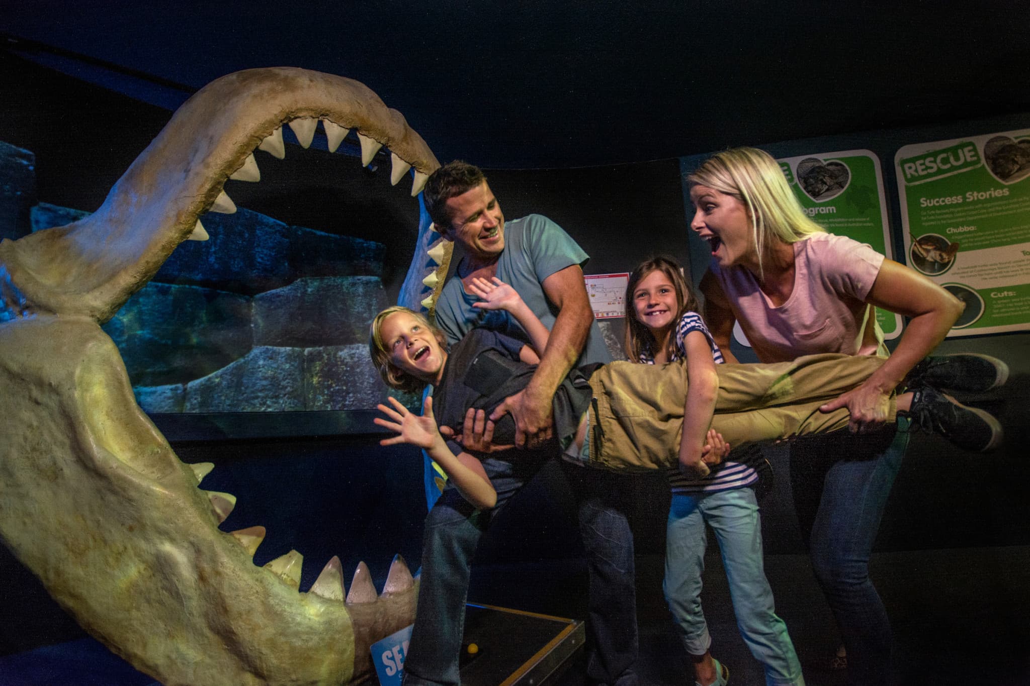 SEA LIFE Sunshine Coast Aquarium Direct Entry Ticket - image 6