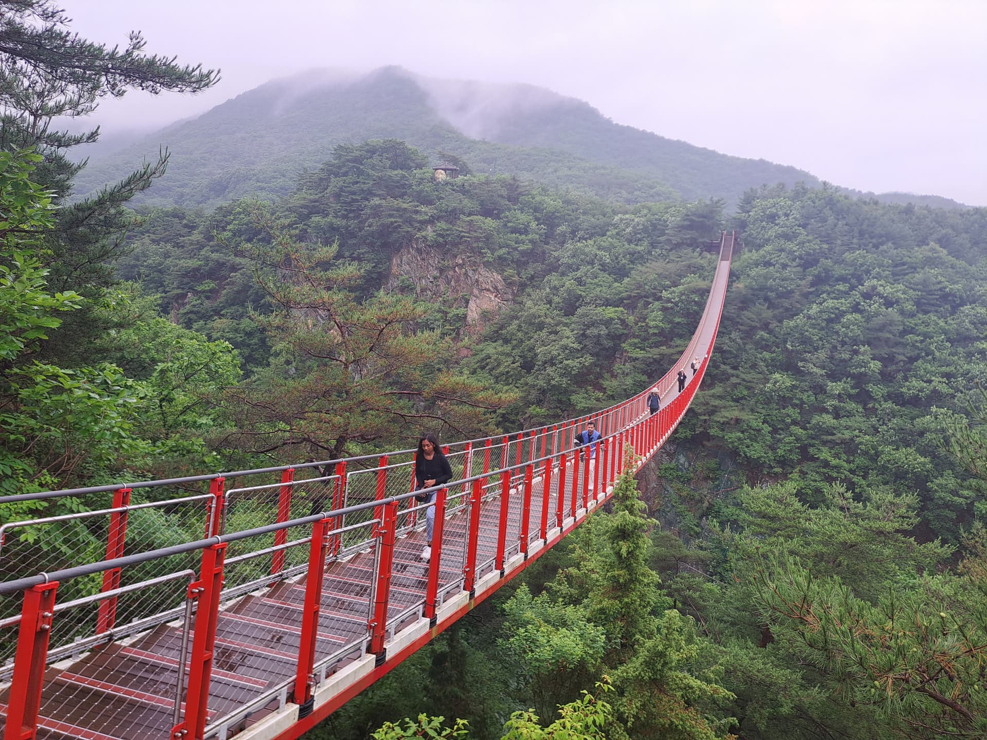 Tour por la Zona Desmilitarizada de Corea (DMZ) desde Seúl - imagen 12