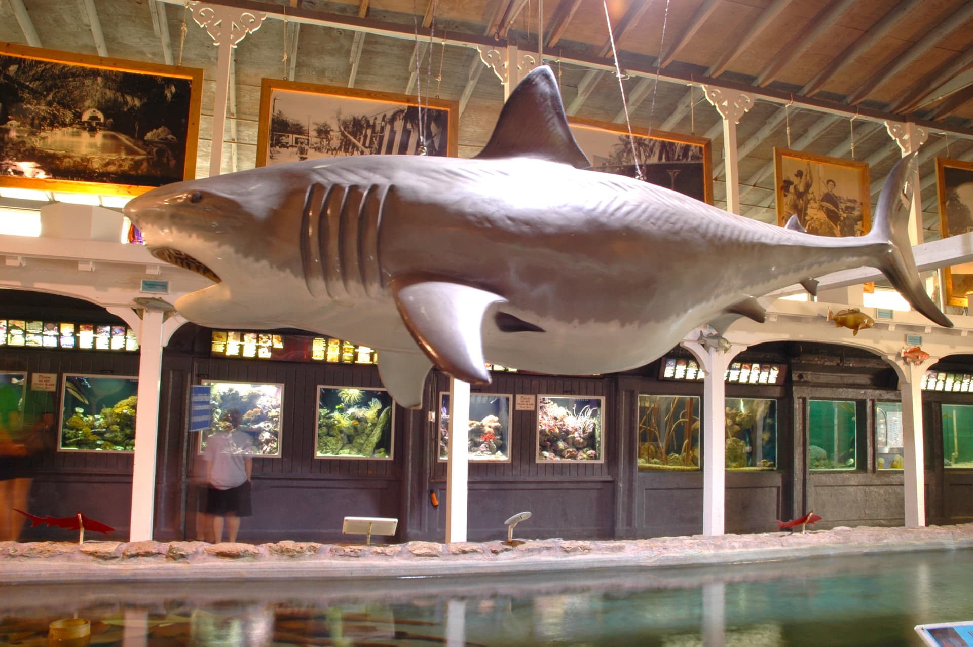 Go City Miami Explorer Pass: Save up to 50% on Attractions - image 21