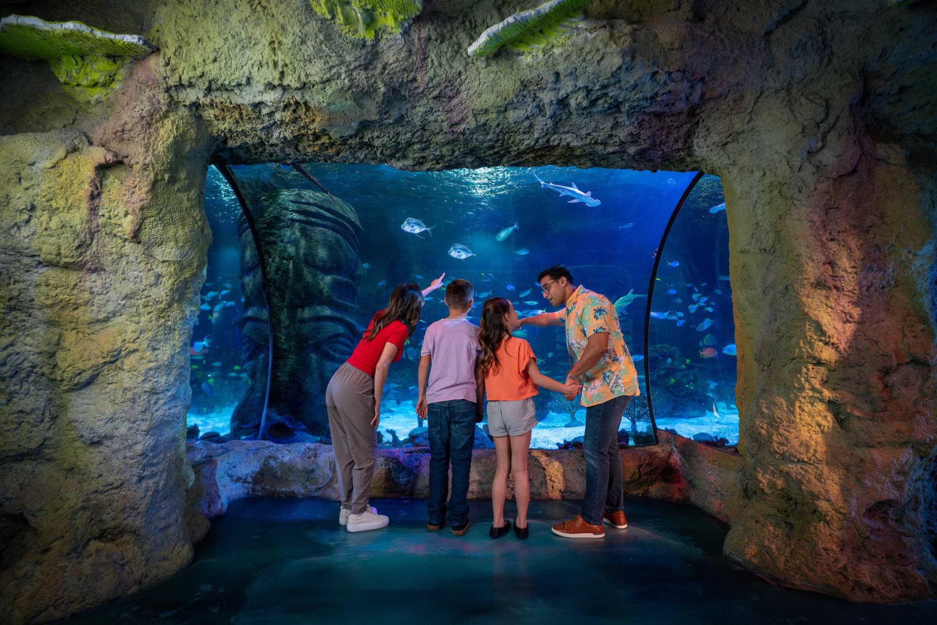 SEA LIFE Orlando Aquarium Ticket - image 8