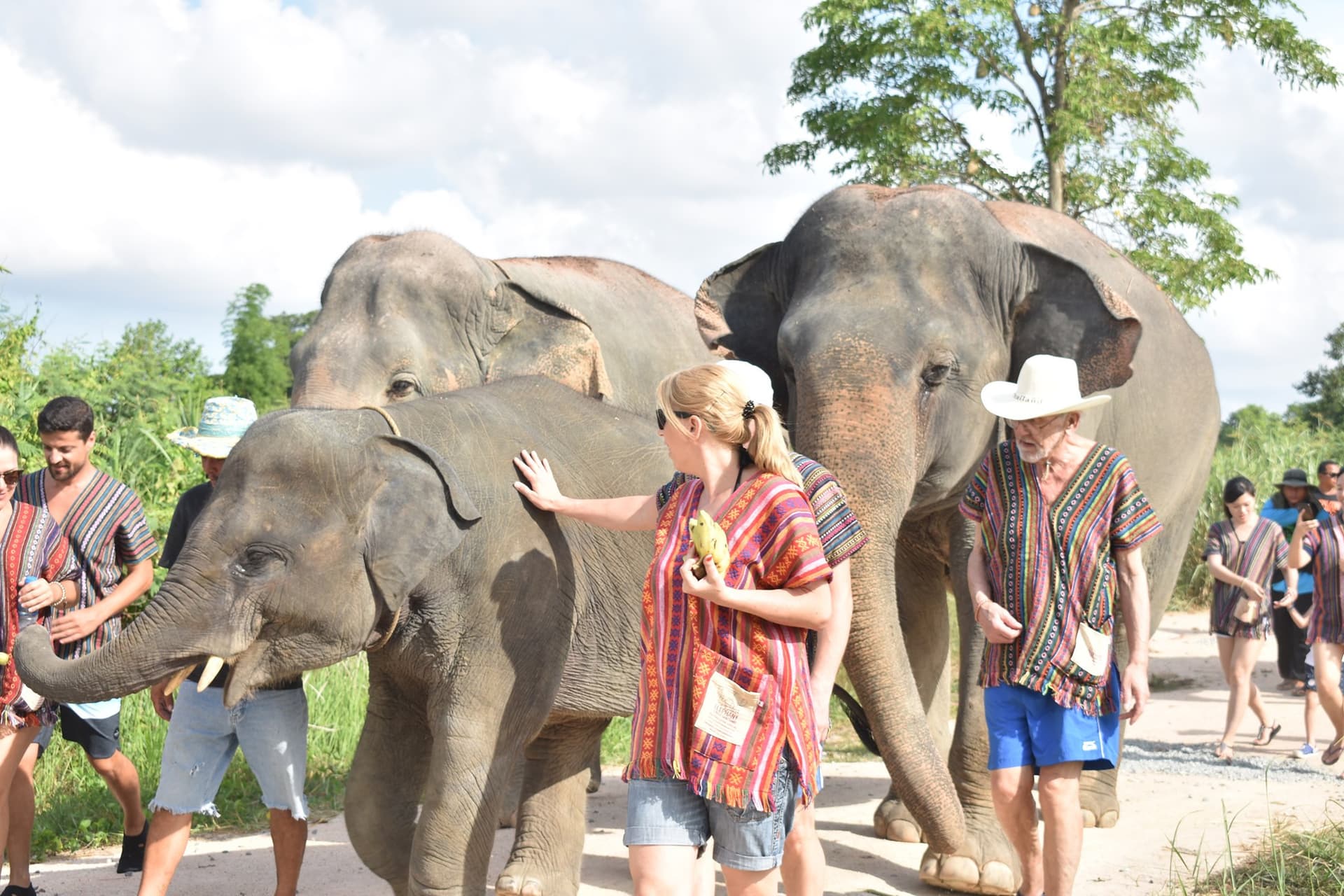 Elephant Jungle Sanctuary Pattaya - imagen 4