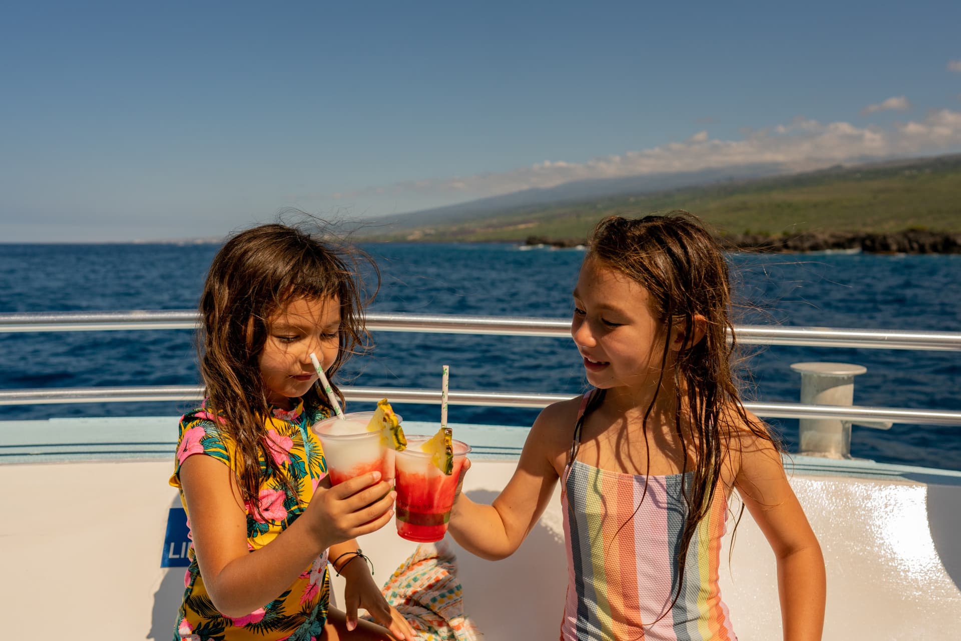 Kona Dolphin Watching Cruise with Snorkelling Experience - image 8