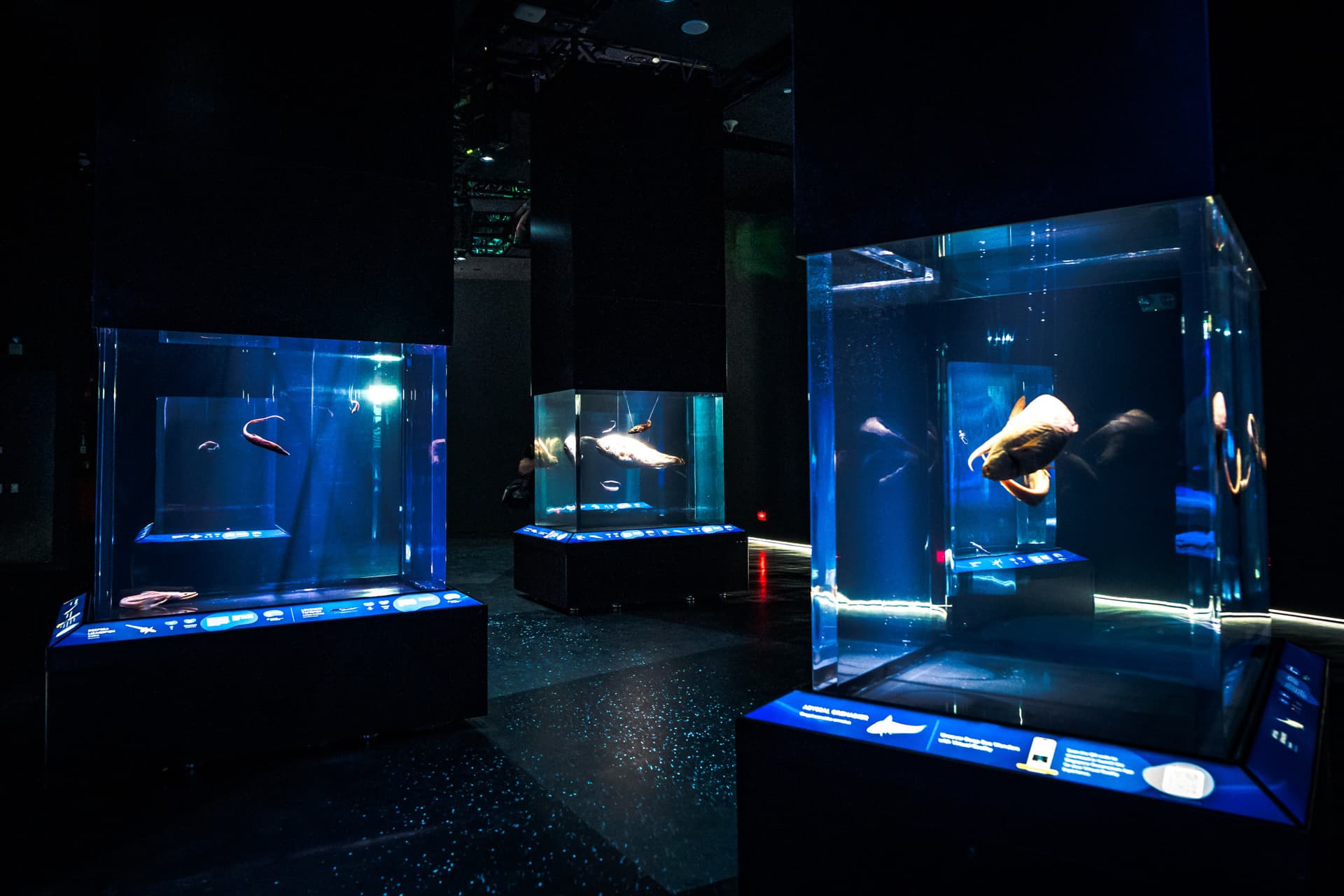 COMBO: Singapore Oceanarium + Gardens by the Bay Ticket - image 5