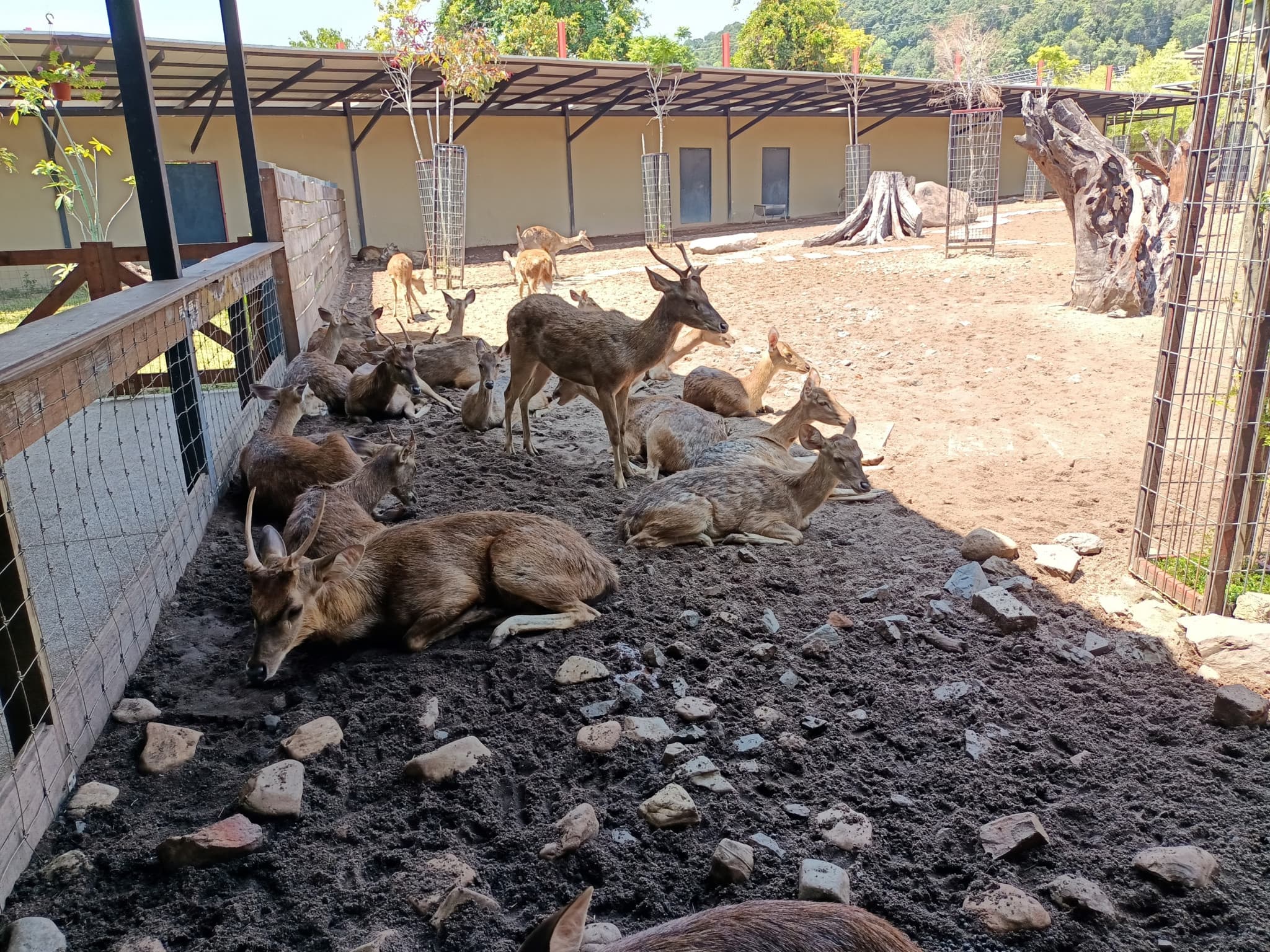 Langkawi Wildlife Park - main image