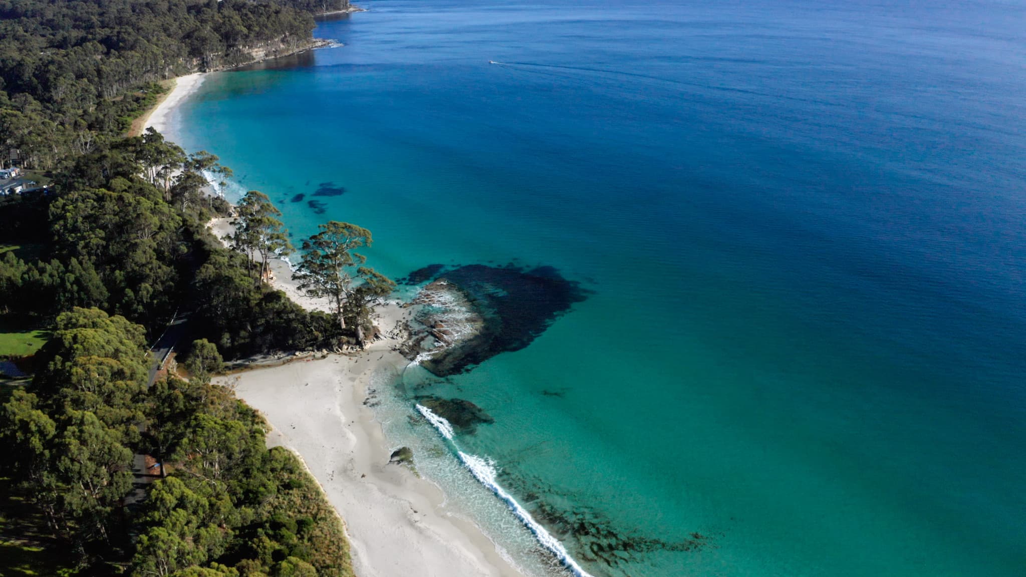 From Hobart | Bruny Island Food, Sightseeing and Lighthouse Tour - image 2